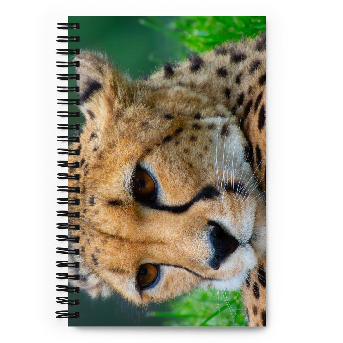 Majestic Cheetah Spiral Notebook - Vibrant Portrait Photograph, Perfect Gift For Nature, Wildlife & Travel Lovers - Journal And Planner