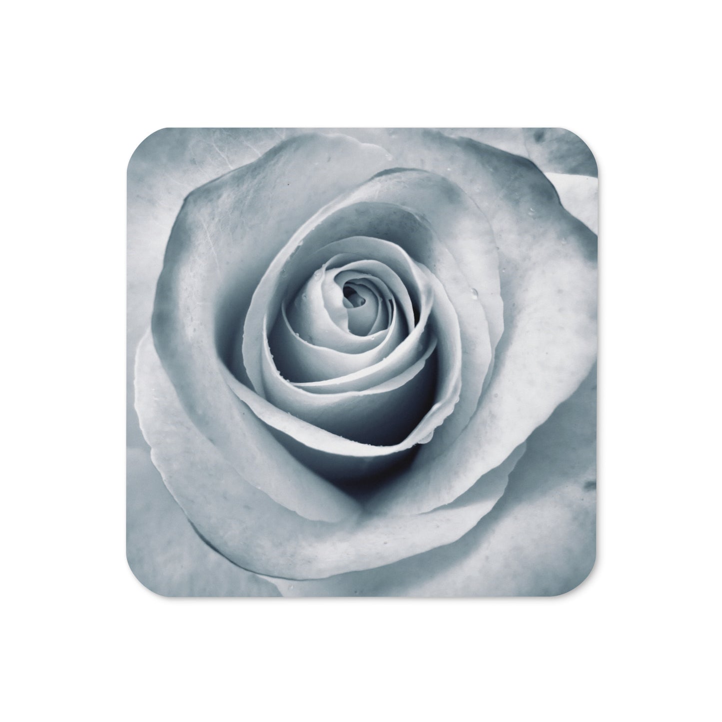 Elegant White Rose Macro Photograph On Fine Art Cork Back Drink Coaster - Perfect Gift For Contemporary Art, Nature, Flower & B&W Photography Lovers