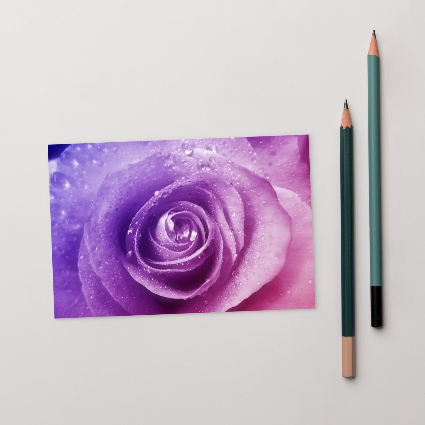 Beautiful Pink Rose Standard Postcard - Vibrant Macro Photograph With Purple Hints, Perfect For Nature And Flower Lovers - Frameable Artwork