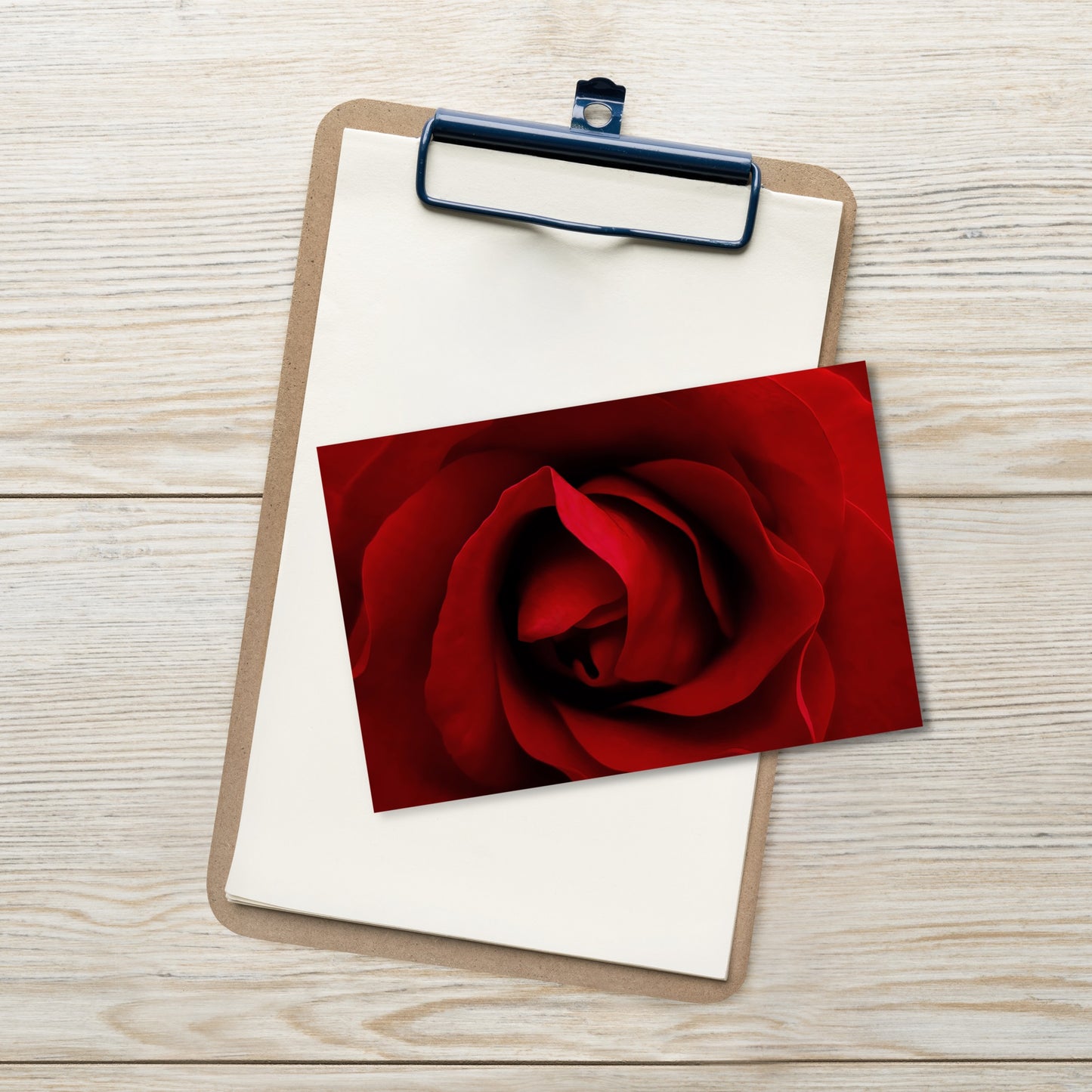 Elegant Red Rose Postcard – Stunning Floral Photography – Perfect for Romantic Messages and Art Lovers Too – High Quality Vibrant Art Print