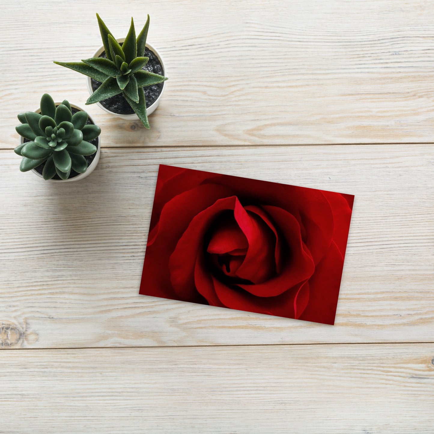 Elegant Red Rose Postcard – Stunning Floral Photography – Perfect for Romantic Messages and Art Lovers Too – High Quality Vibrant Art Print