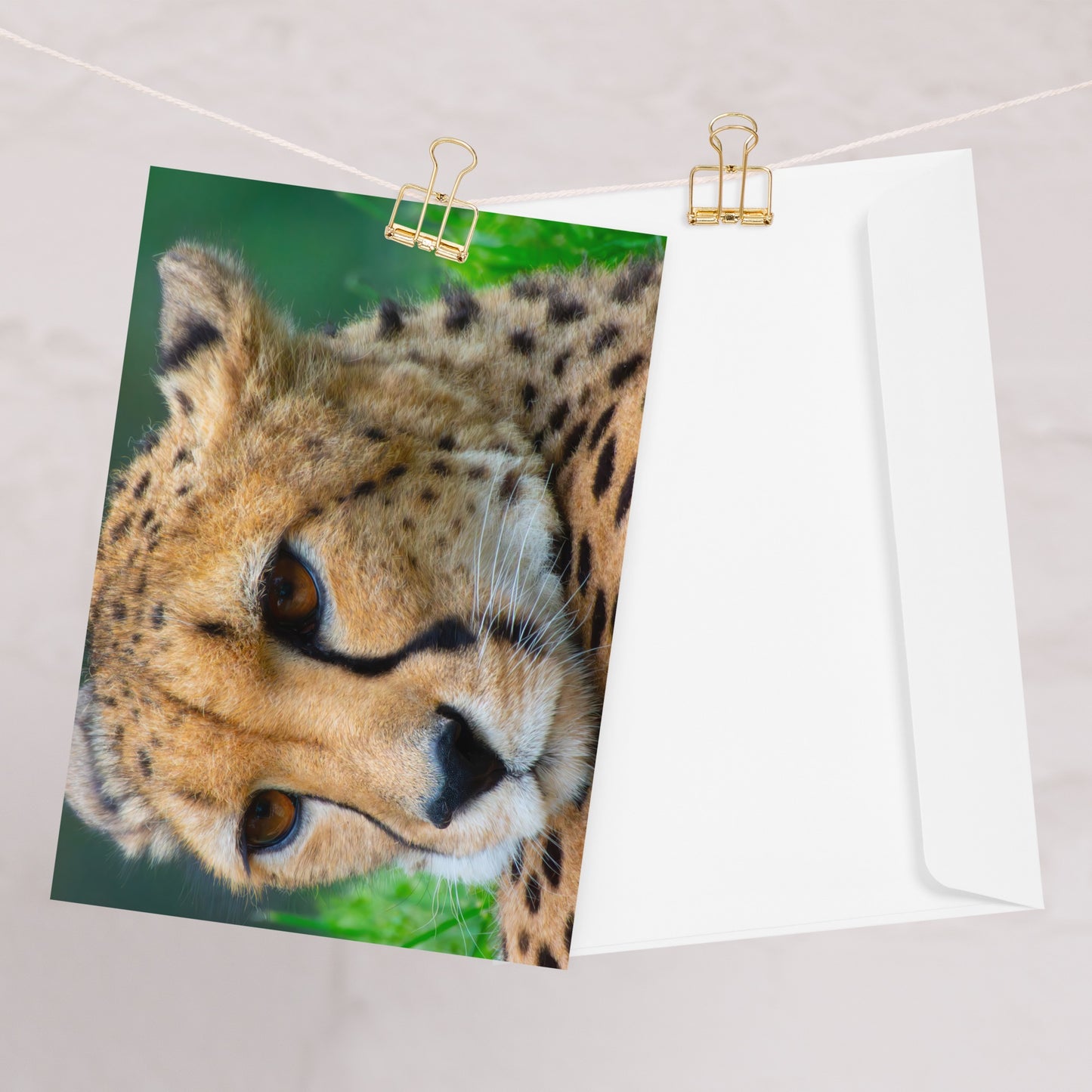 Majestic Cheetah Greeting Card - Vibrant Portrait Photograph, Ideal Gift For Nature, Wildlife, & Travel Lovers - Beautiful Wildlife Fine Art