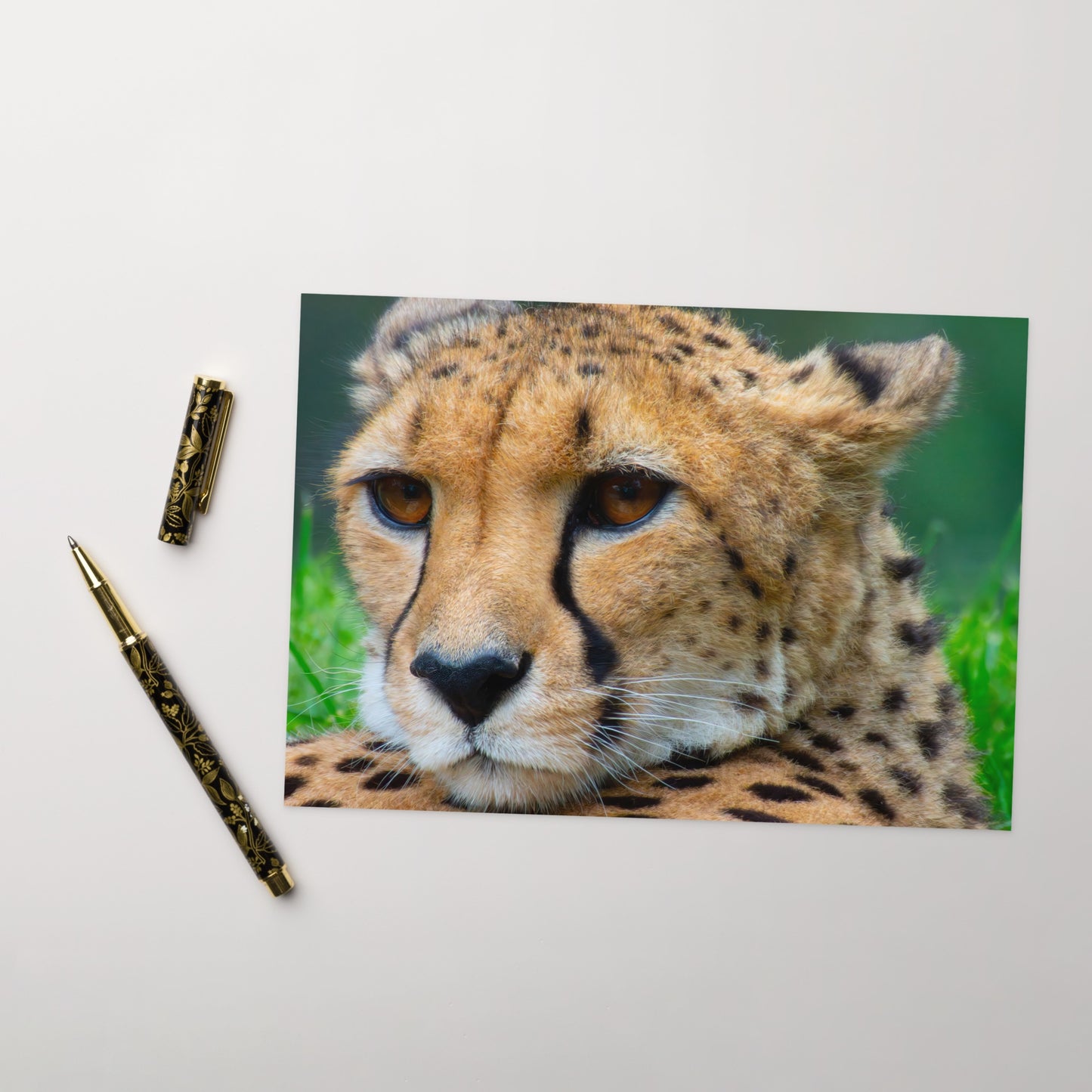 Majestic Cheetah Greeting Card - Vibrant Portrait Photograph, Ideal Gift For Nature, Wildlife, & Travel Lovers - Beautiful Wildlife Fine Art