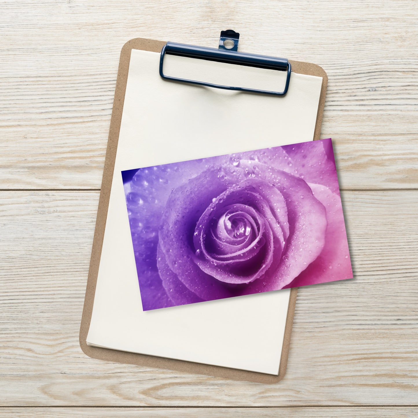 Beautiful Pink Rose Standard Postcard - Vibrant Macro Photograph With Purple Hints, Perfect For Nature And Flower Lovers - Frameable Artwork