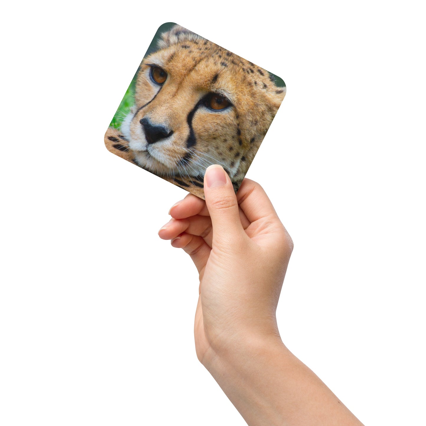 Elegant Cheetah Cork-Back Coaster – Stunning Wildlife Photography – Beautiful Home Décor – Stylish Kitchen Décor - Premium Quality Design