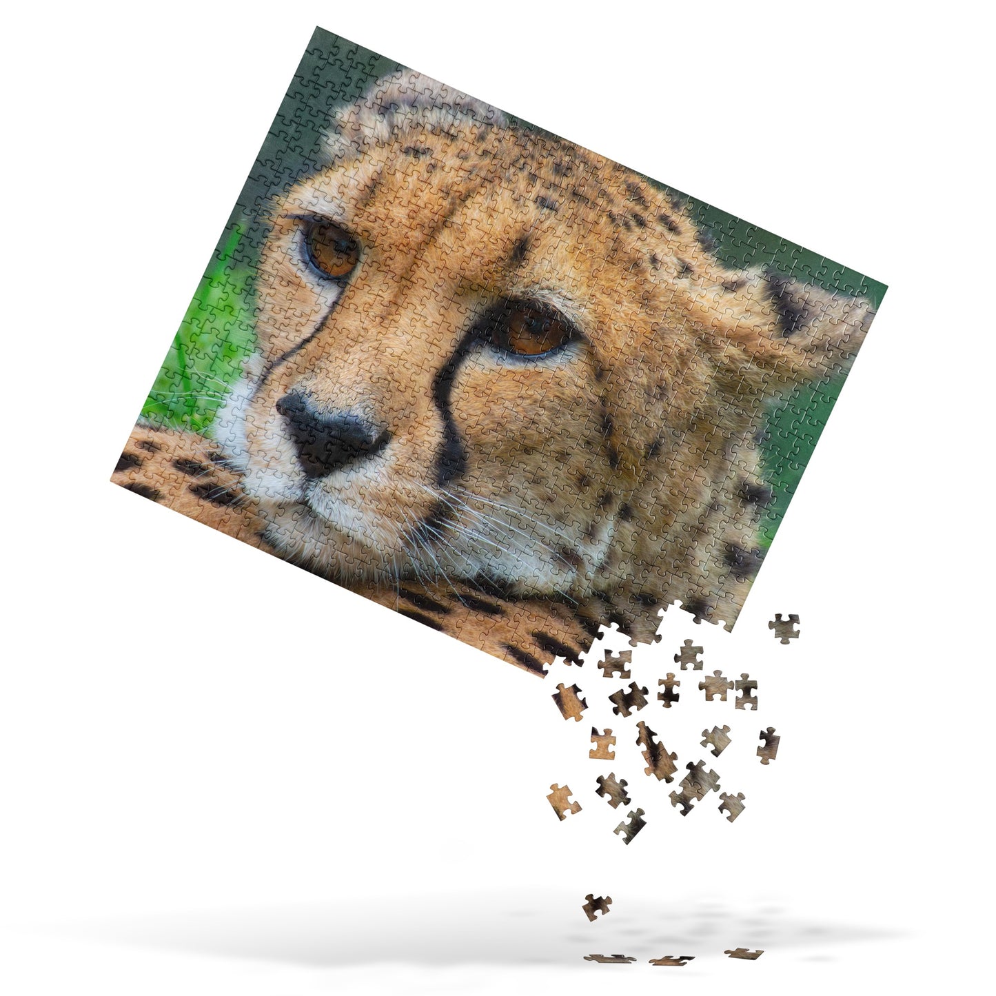 Majestic Cheetah Jigsaw Puzzle - Vibrant & Stylish Portrait Photograph, Perfect Gift For Nature, Wildlife, And Travel Lovers Of All Ages