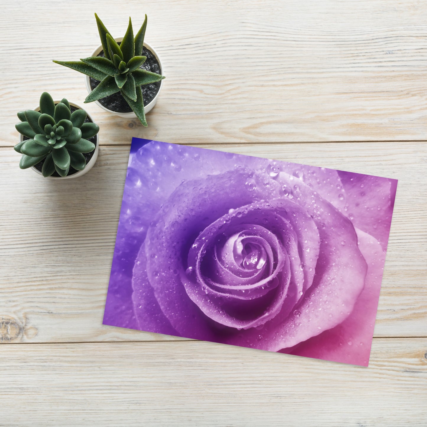 Pink Rose Greeting Card – Vibrant Macro Photograph with Purple Hints - Nature-Inspired Art - A Perfect Gift for Flower & Nature Lovers