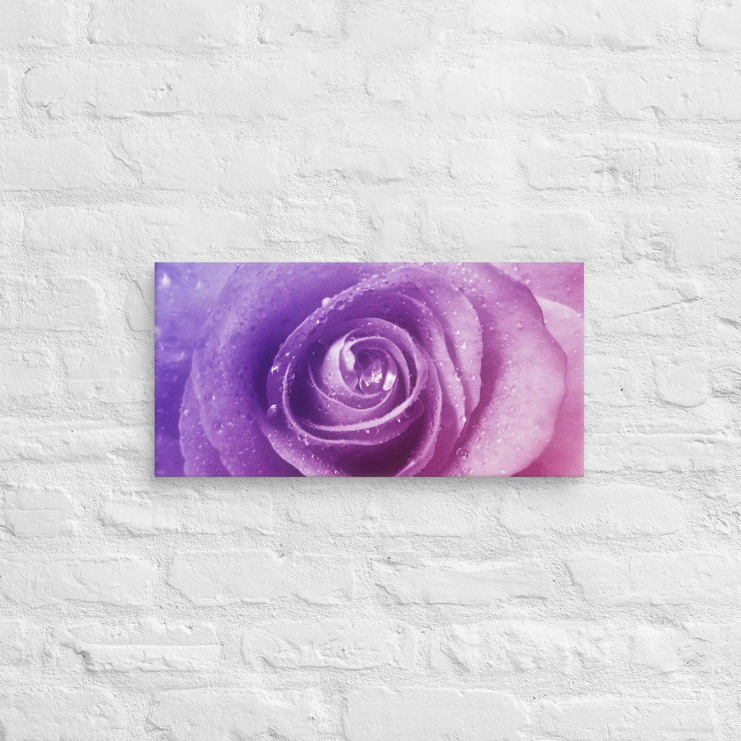 Vibrant Pink Rose With Purple Hints Macro Photography Canvas - Perfect For Home, Bedroom, Office Wall Decor & Romantic Valentine's Day Gift