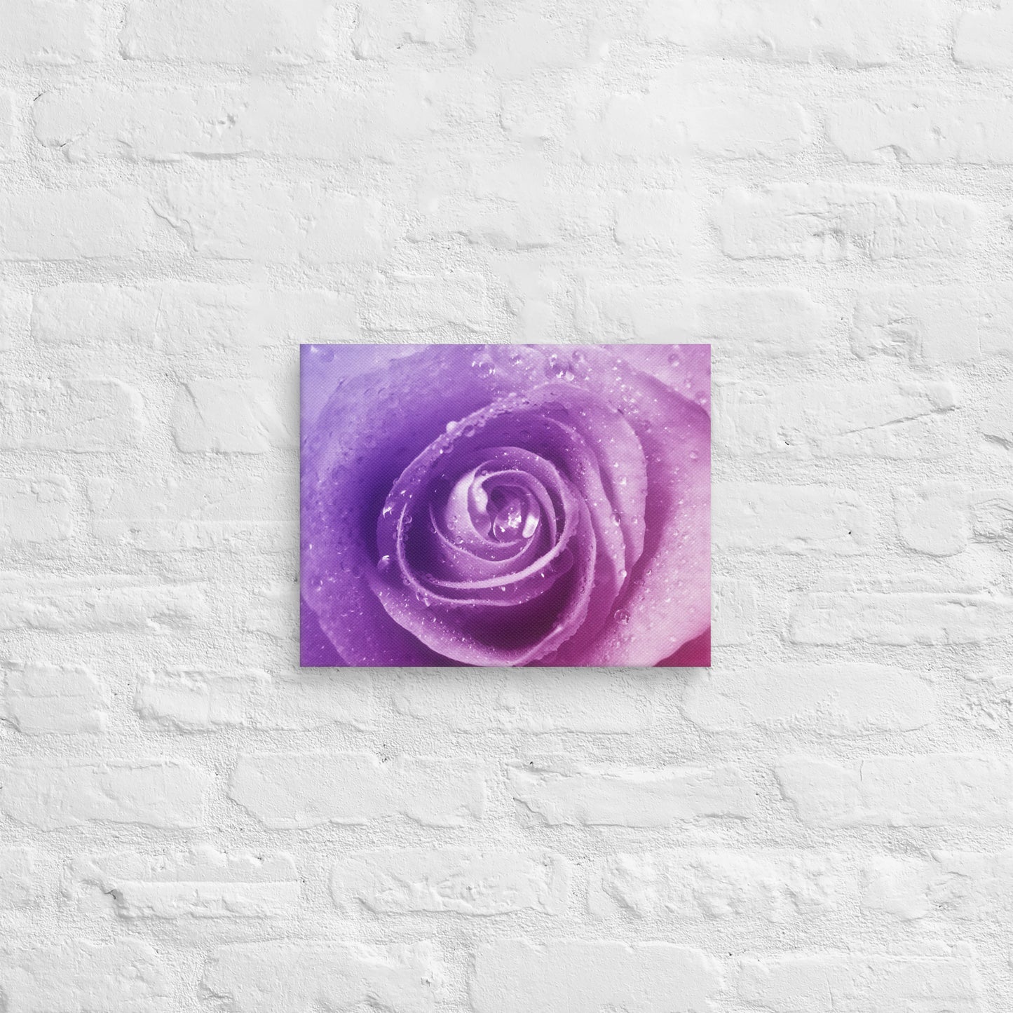Vibrant Pink Rose With Purple Hints Macro Photography Canvas - Perfect For Home, Bedroom, Office Wall Decor & Romantic Valentine's Day Gift