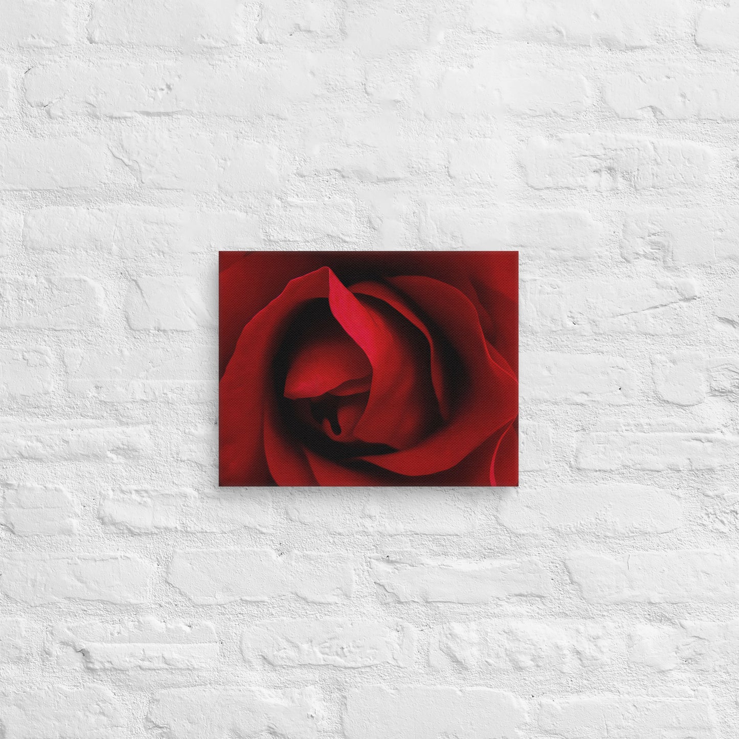 Vibrant Red Rose Macro Photography Canvas - Perfect For Home, Bedroom, Office Decor & Romantic Occasion Gifts - Nature And Flower Lovers