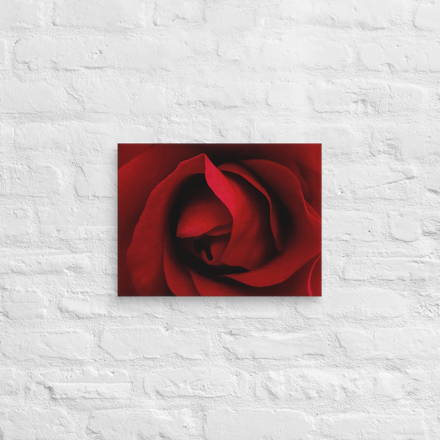 Vibrant Red Rose Macro Photography Canvas - Perfect For Home, Bedroom, Office Decor & Romantic Occasion Gifts - Nature And Flower Lovers