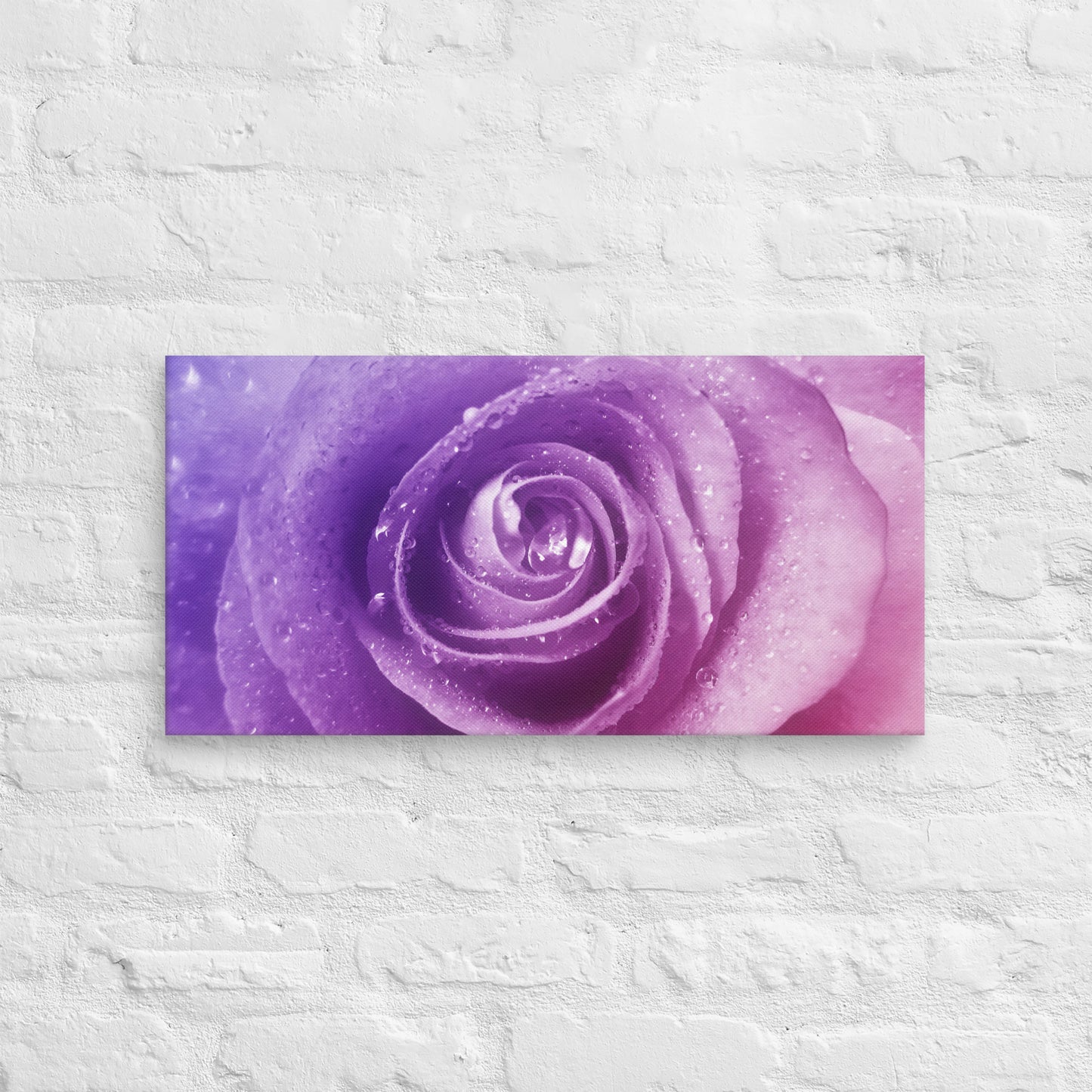 Vibrant Pink Rose With Purple Hints Macro Photography Canvas - Perfect For Home, Bedroom, Office Wall Decor & Romantic Valentine's Day Gift