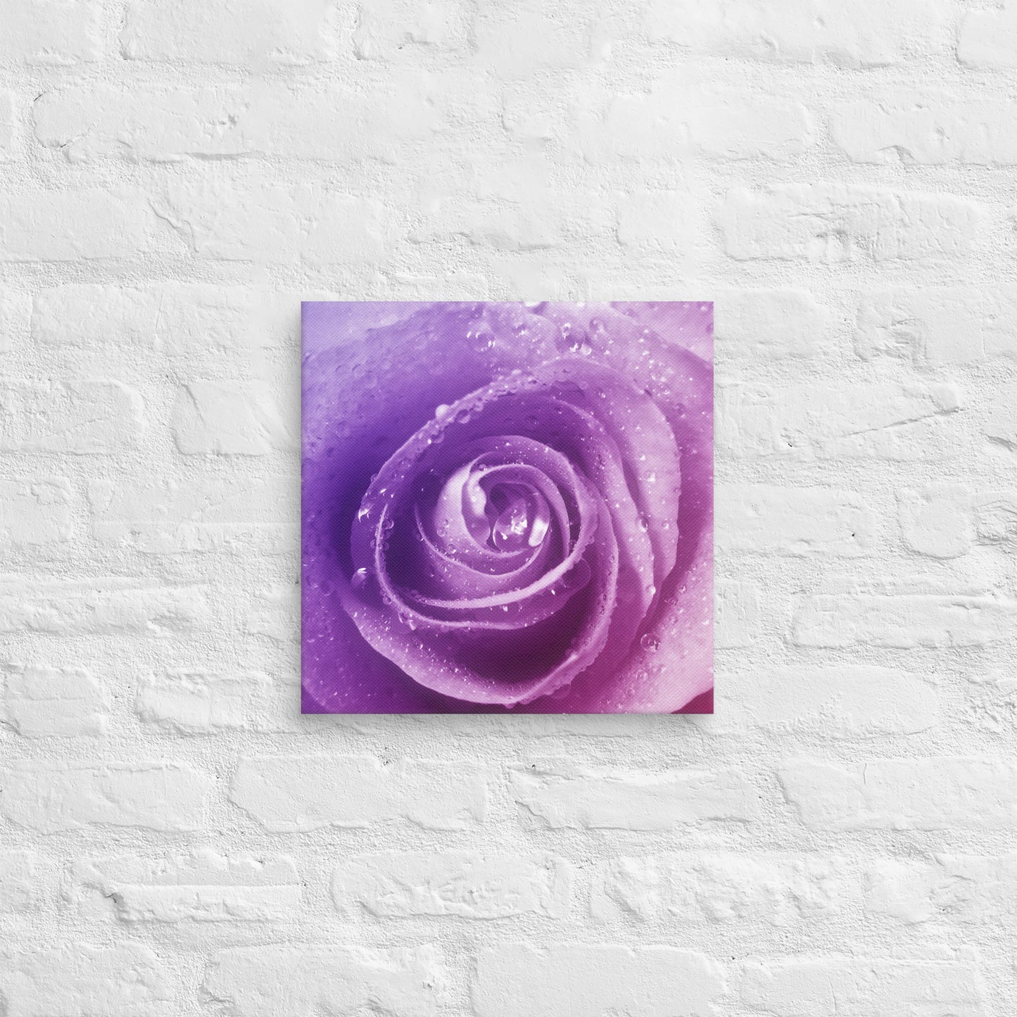 Vibrant Pink Rose With Purple Hints Macro Photography Canvas - Perfect For Home, Bedroom, Office Wall Decor & Romantic Valentine's Day Gift
