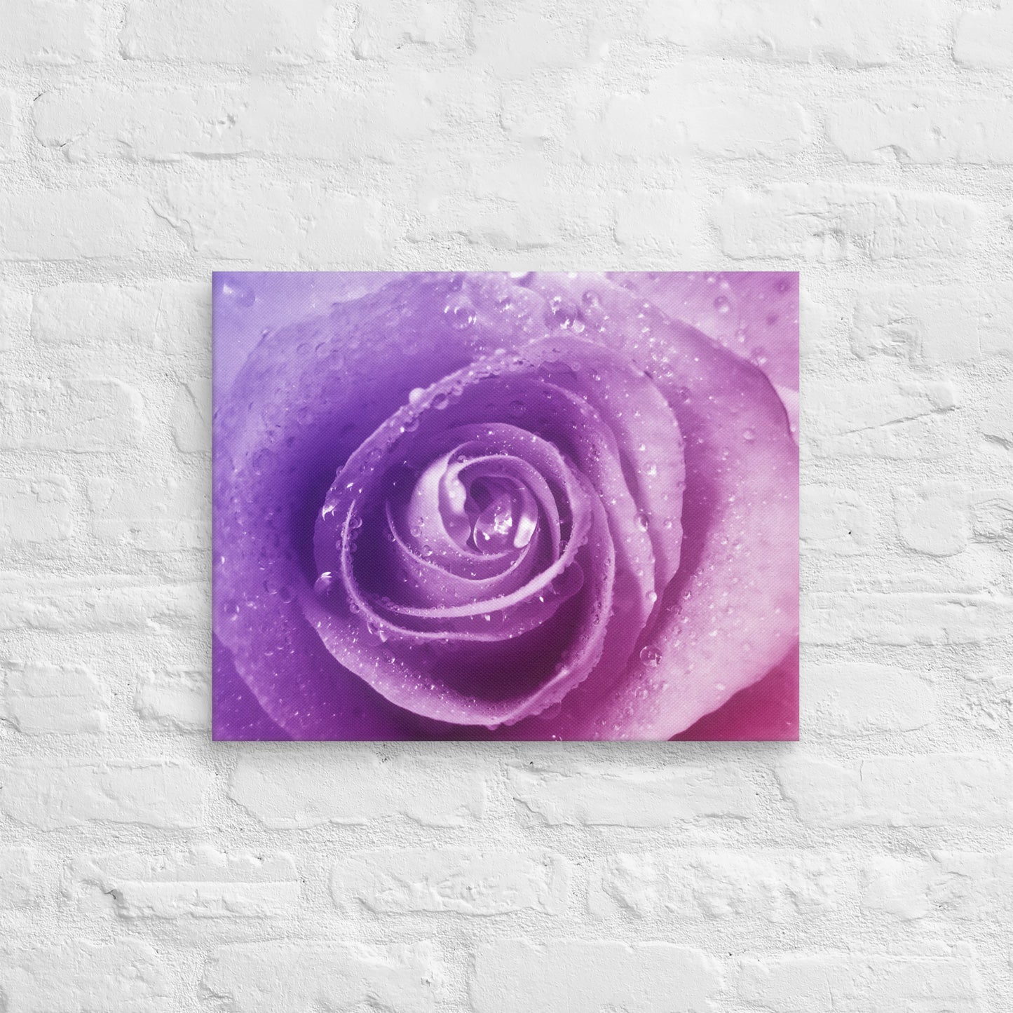 Vibrant Pink Rose With Purple Hints Macro Photography Canvas - Perfect For Home, Bedroom, Office Wall Decor & Romantic Valentine's Day Gift