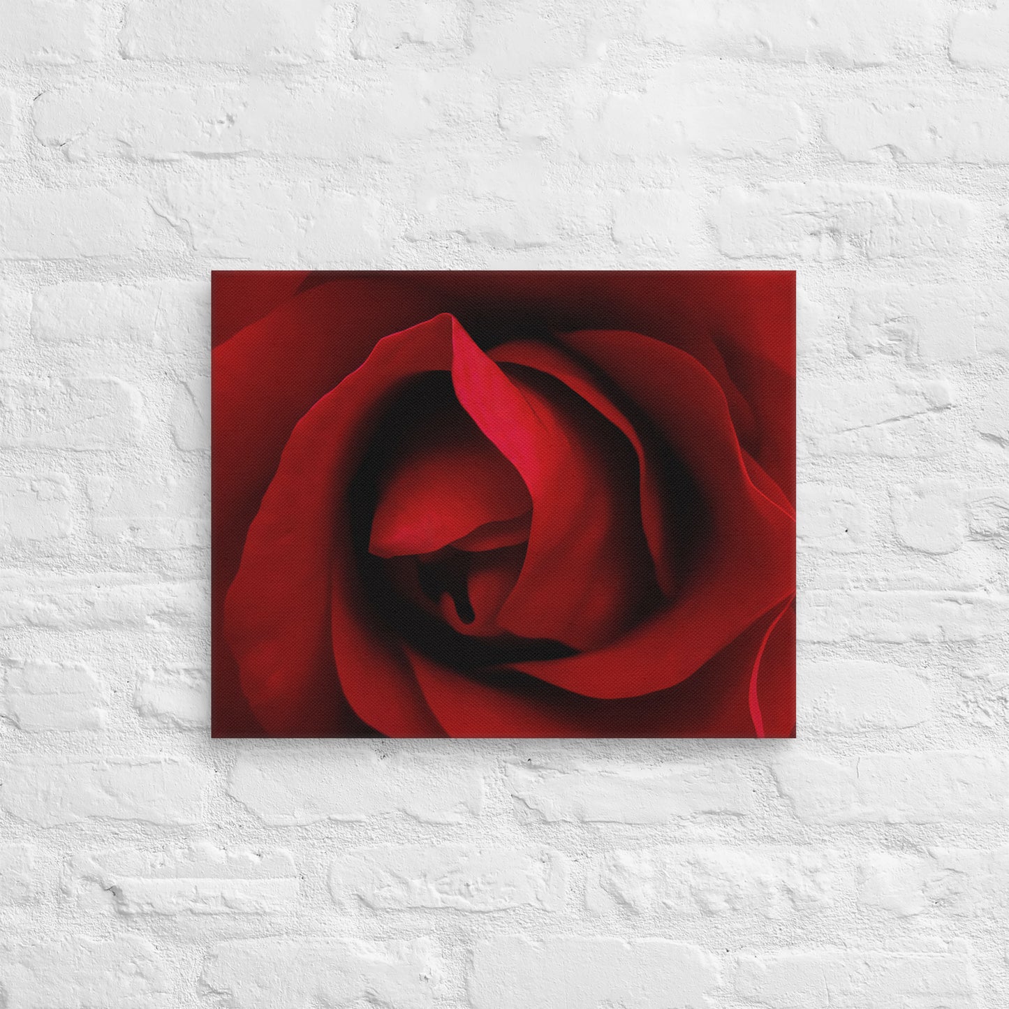 Vibrant Red Rose Macro Photography Canvas - Perfect For Home, Bedroom, Office Decor & Romantic Occasion Gifts - Nature And Flower Lovers