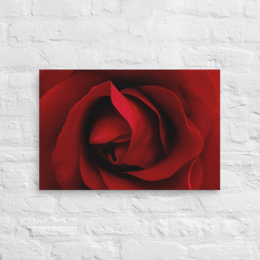 Vibrant Red Rose Macro Photography Canvas - Perfect For Home, Bedroom, Office Decor & Romantic Occasion Gifts - Nature And Flower Lovers
