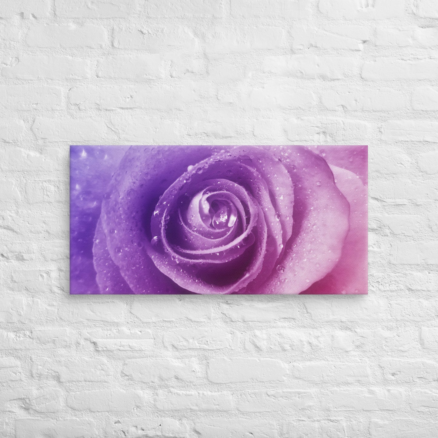 Vibrant Pink Rose With Purple Hints Macro Photography Canvas - Perfect For Home, Bedroom, Office Wall Decor & Romantic Valentine's Day Gift