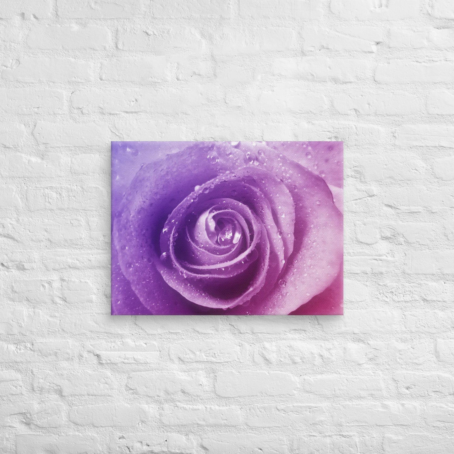 Vibrant Pink Rose With Purple Hints Macro Photography Canvas - Perfect For Home, Bedroom, Office Wall Decor & Romantic Valentine's Day Gift
