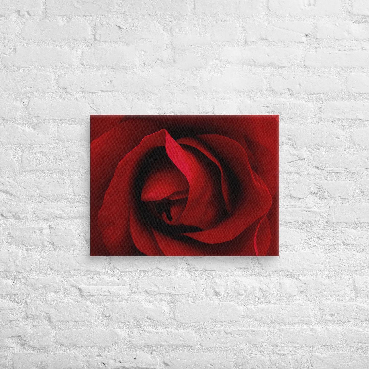 Vibrant Red Rose Macro Photography Canvas - Perfect For Home, Bedroom, Office Decor & Romantic Occasion Gifts - Nature And Flower Lovers