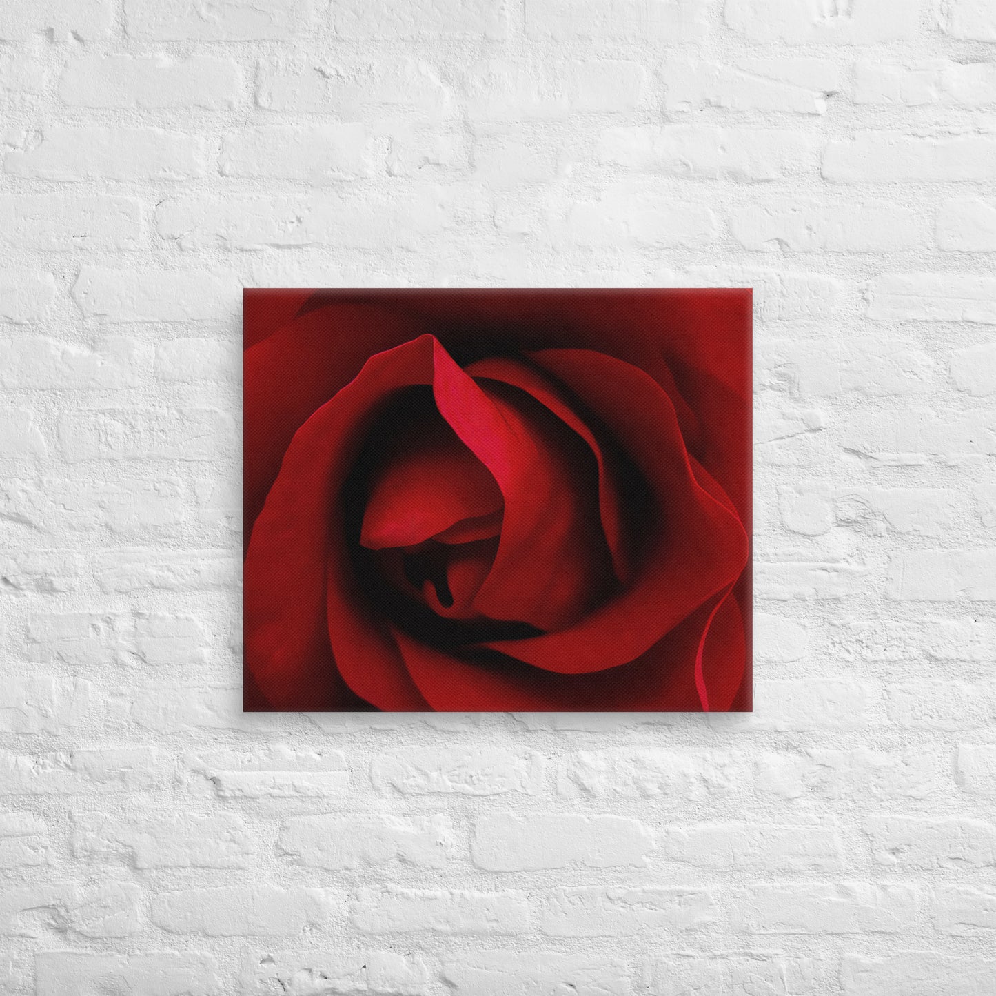 Vibrant Red Rose Macro Photography Canvas - Perfect For Home, Bedroom, Office Decor & Romantic Occasion Gifts - Nature And Flower Lovers
