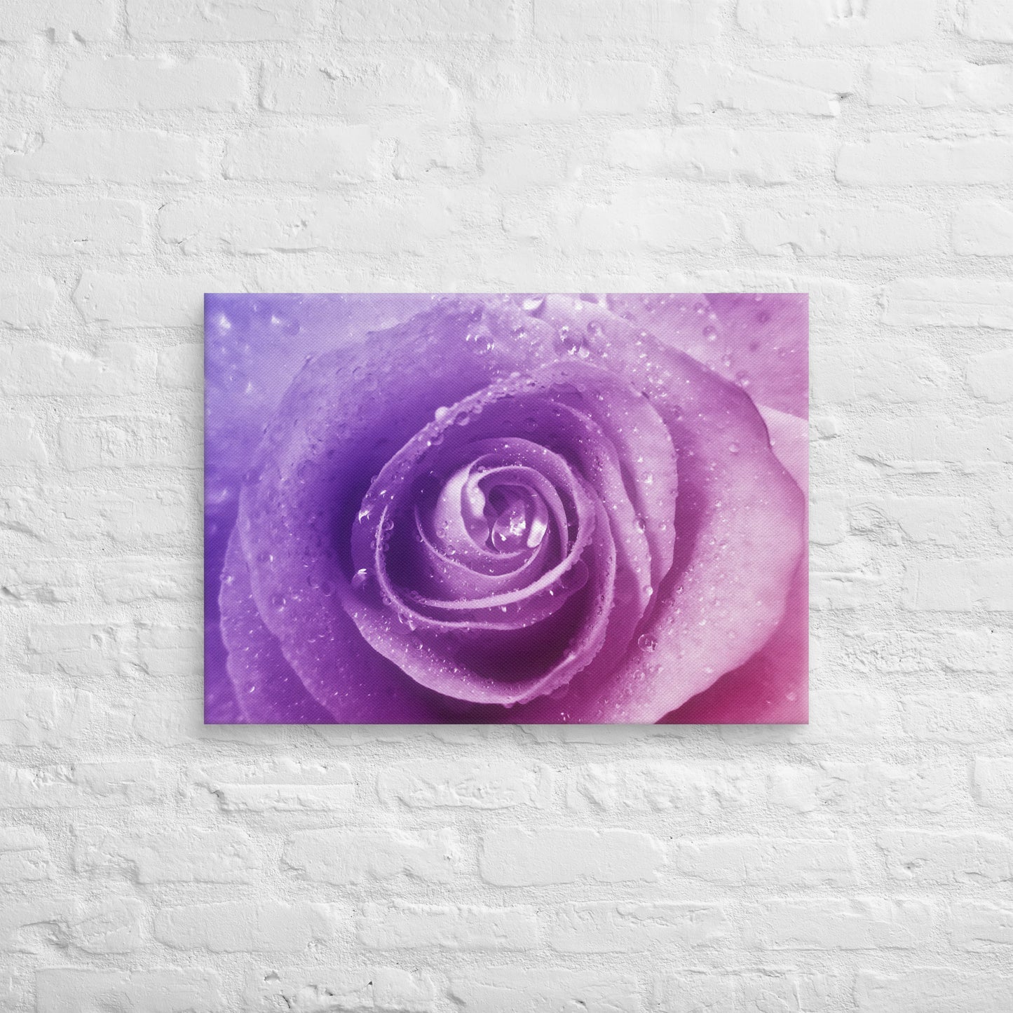 Vibrant Pink Rose With Purple Hints Macro Photography Canvas - Perfect For Home, Bedroom, Office Wall Decor & Romantic Valentine's Day Gift