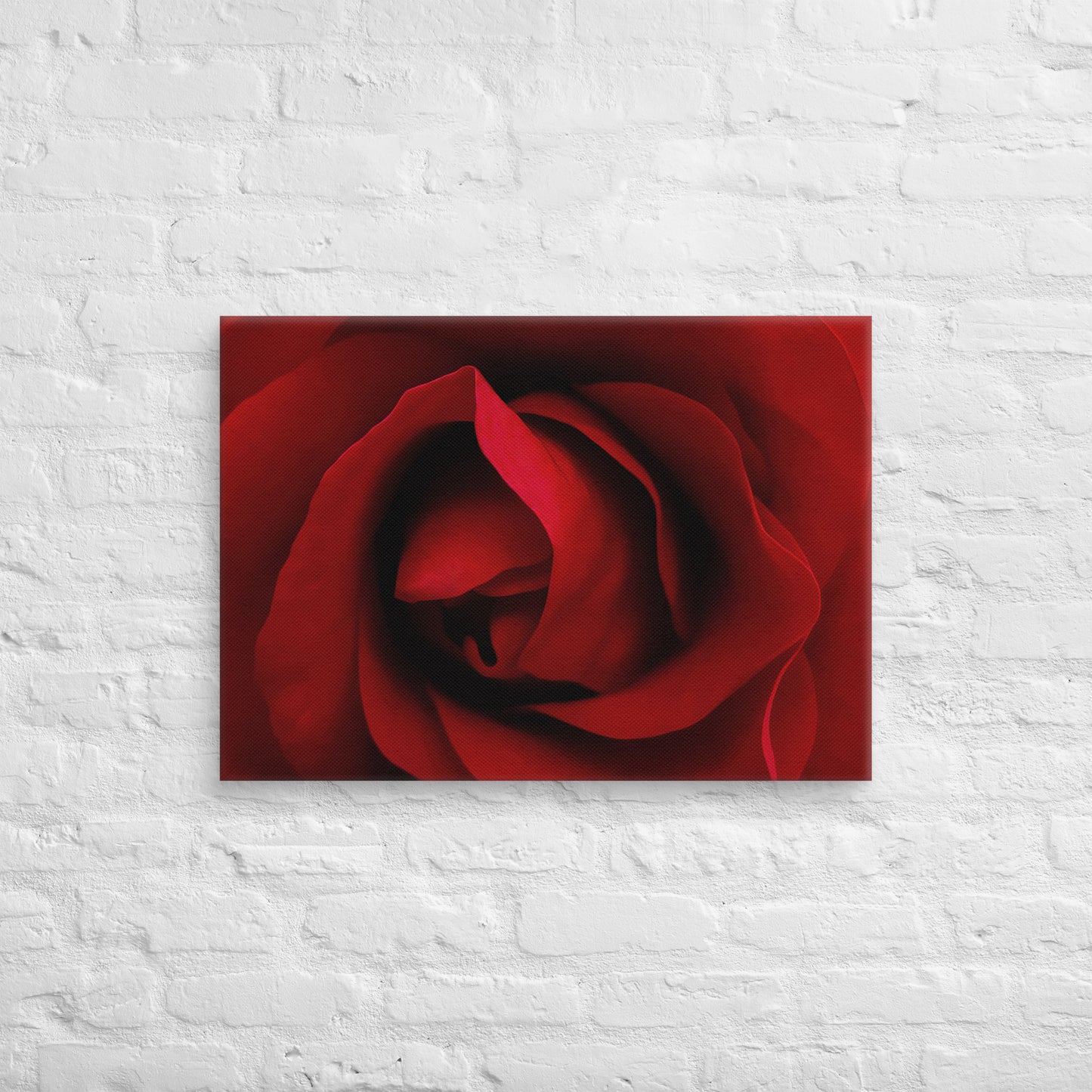 Vibrant Red Rose Macro Photography Canvas - Perfect For Home, Bedroom, Office Decor & Romantic Occasion Gifts - Nature And Flower Lovers