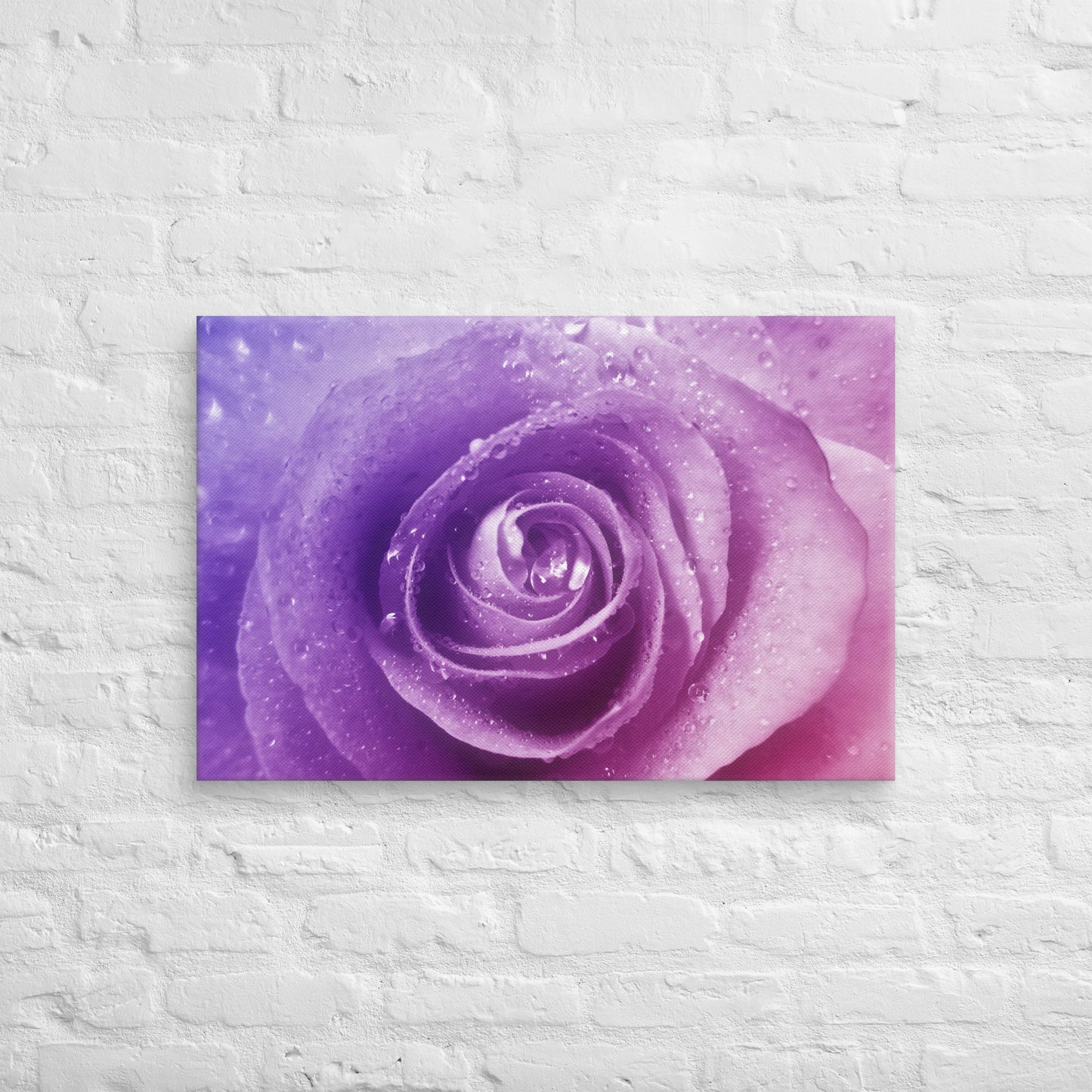 Vibrant Pink Rose With Purple Hints Macro Photography Canvas - Perfect For Home, Bedroom, Office Wall Decor & Romantic Valentine's Day Gift