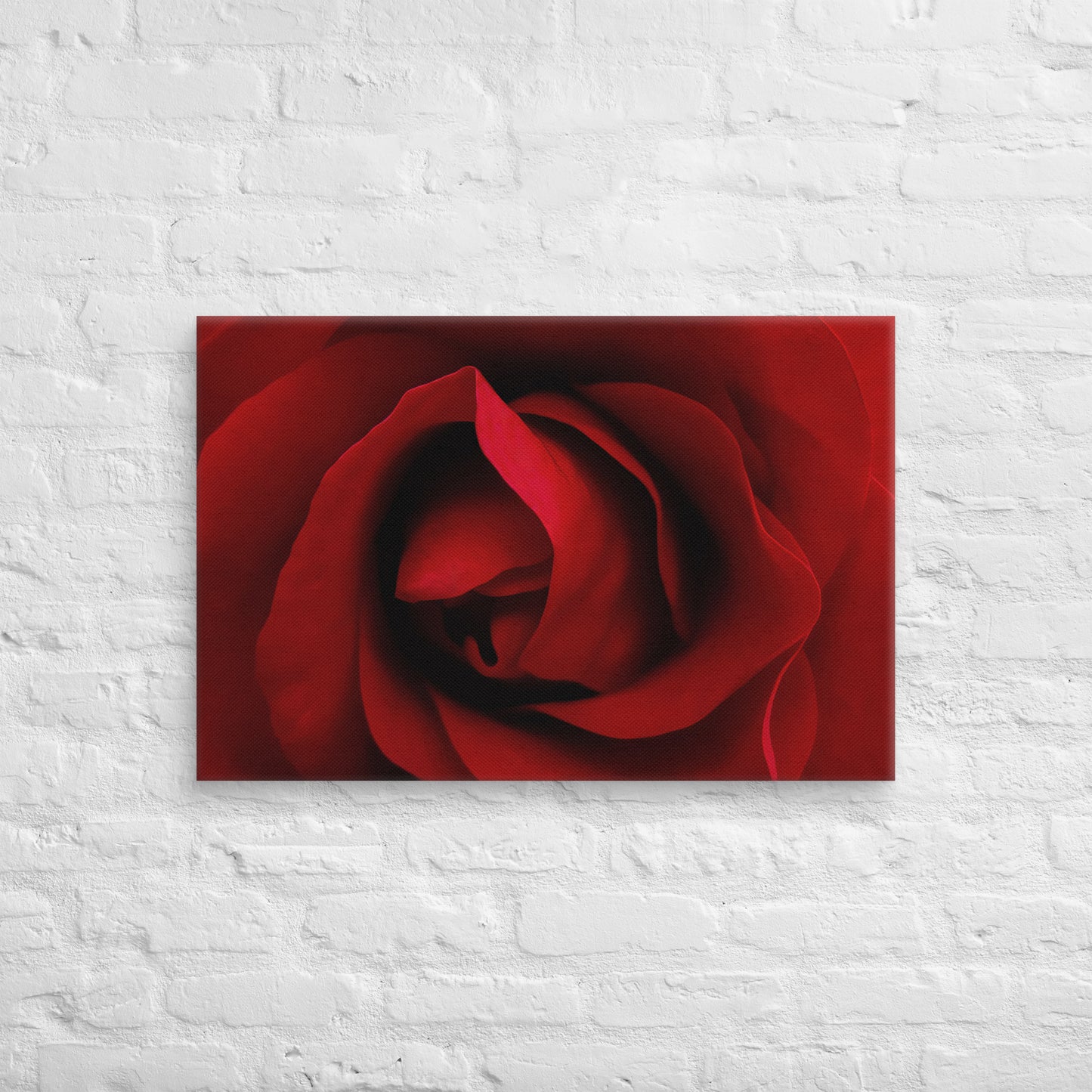 Vibrant Red Rose Macro Photography Canvas - Perfect For Home, Bedroom, Office Decor & Romantic Occasion Gifts - Nature And Flower Lovers