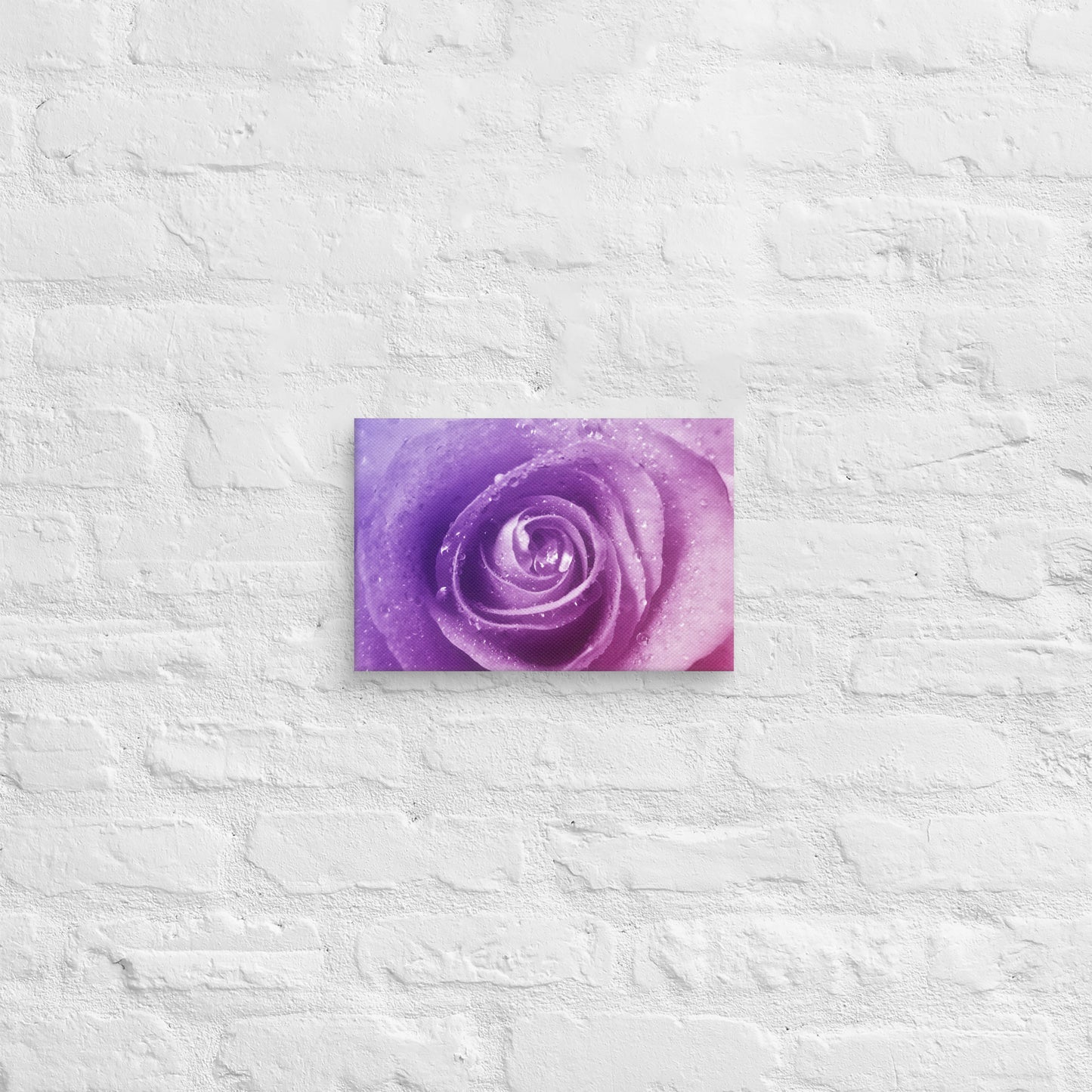 Vibrant Pink Rose With Purple Hints Macro Photography Canvas - Perfect For Home, Bedroom, Office Wall Decor & Romantic Valentine's Day Gift