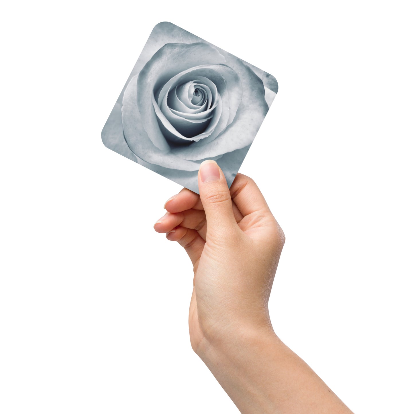 Elegant White Rose Macro Photograph On Fine Art Cork Back Drink Coaster - Perfect Gift For Contemporary Art, Nature, Flower &amp; B&amp;W Photography Lovers