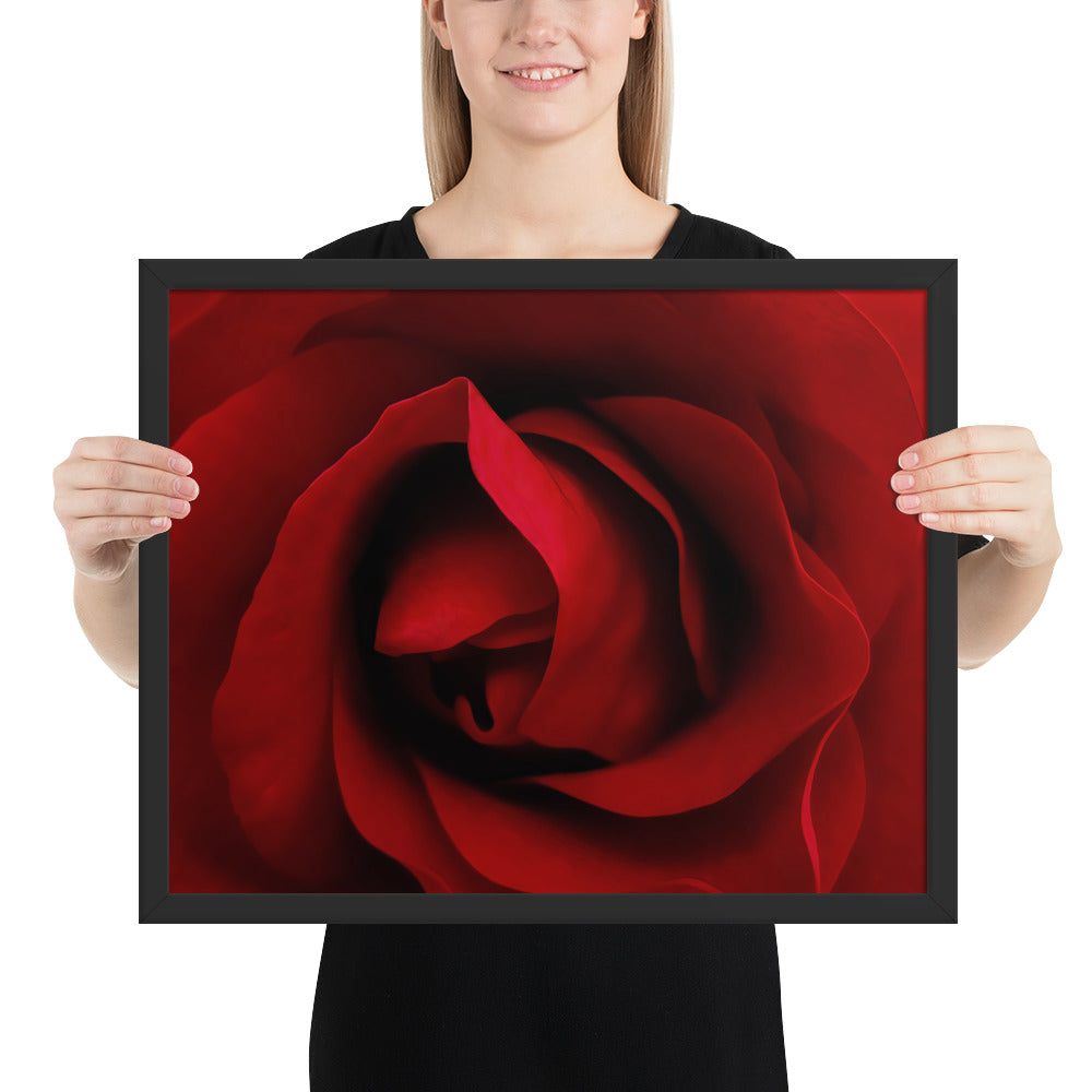 Framed Fine Art Poster - Vibrant Red Rose Photograph - Sharp, Detailed, Saturated - A Perfect Gift for Nature Lovers & Romantic Occasions