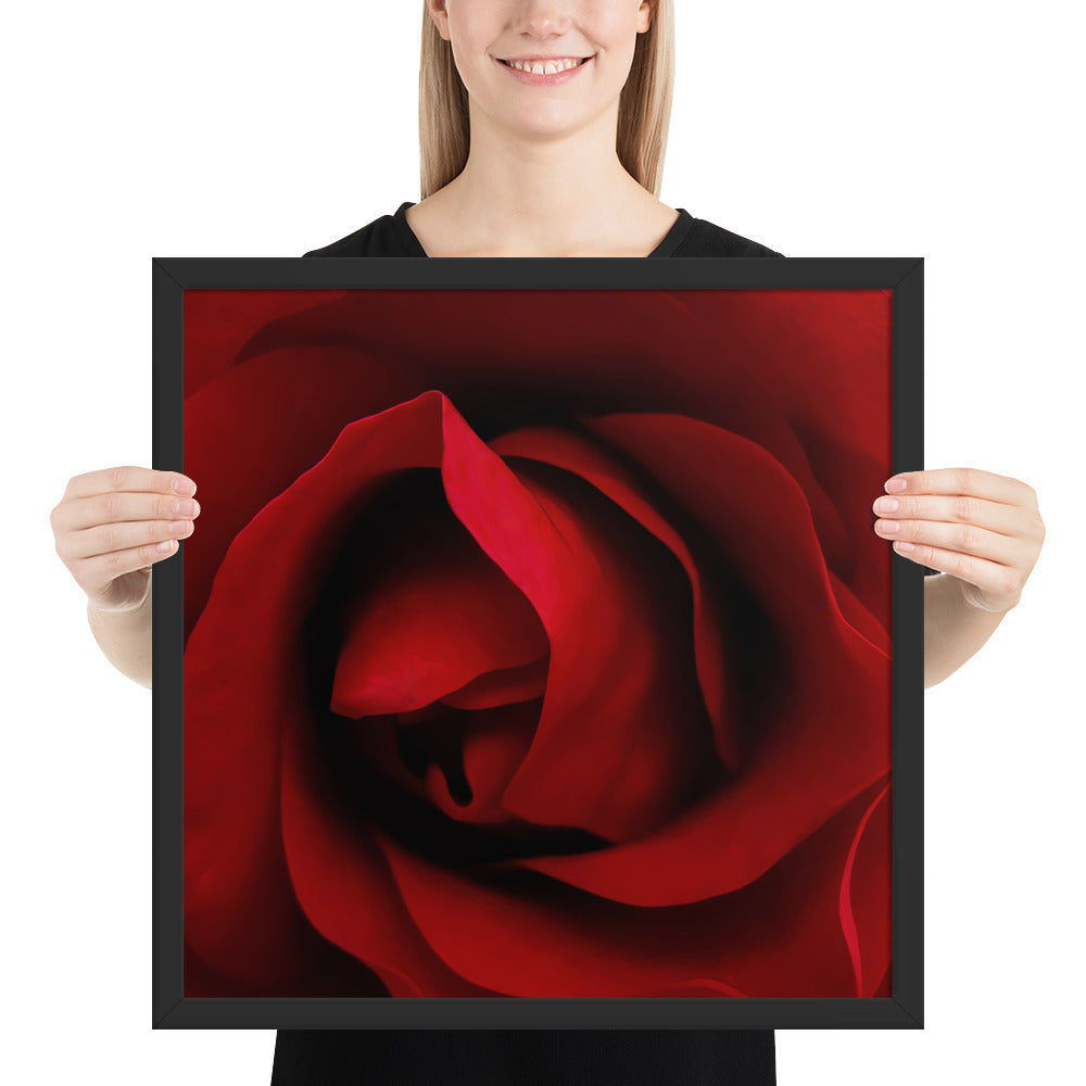 Framed Fine Art Poster - Vibrant Red Rose Photograph - Sharp, Detailed, Saturated - A Perfect Gift for Nature Lovers & Romantic Occasions