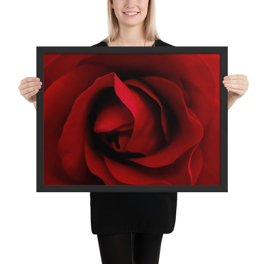 Framed Fine Art Poster - Vibrant Red Rose Photograph - Sharp, Detailed, Saturated - A Perfect Gift for Nature Lovers & Romantic Occasions