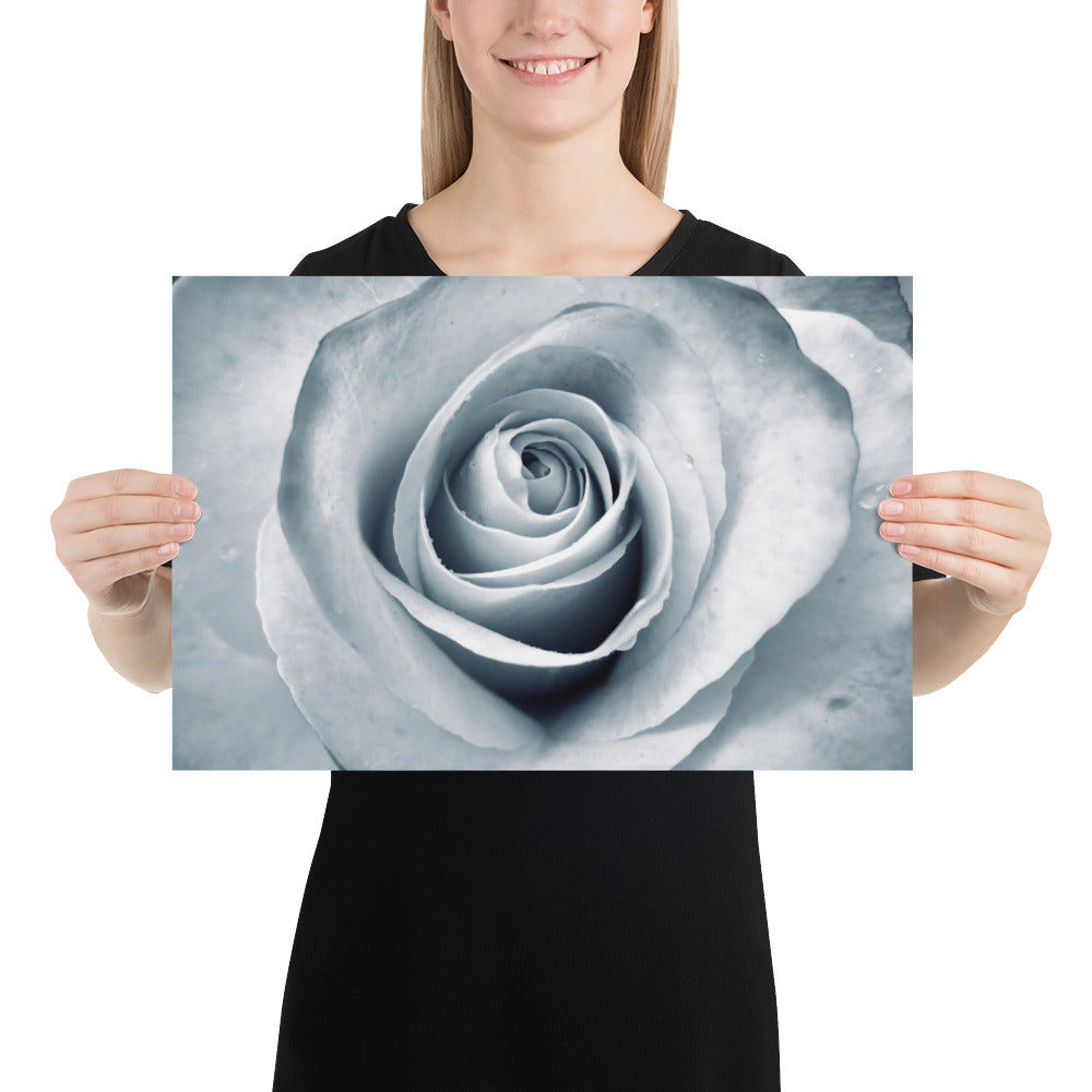 Elegant White Rose Macro Photograph Print - Silverish Tint & Gray Shadows - Perfect Gift for Art, Nature, and Photography Lovers