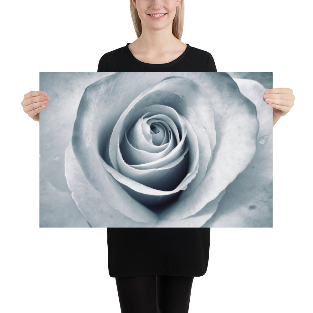 Elegant White Rose Macro Photograph Print - Silverish Tint & Gray Shadows - Perfect Gift for Art, Nature, and Photography Lovers