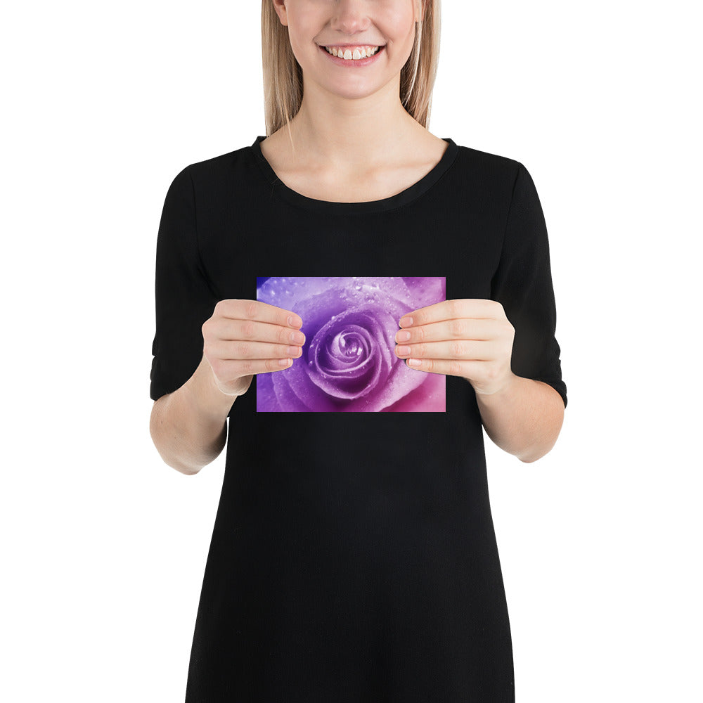 pink, purple, rose, pink rose, cute, valentine