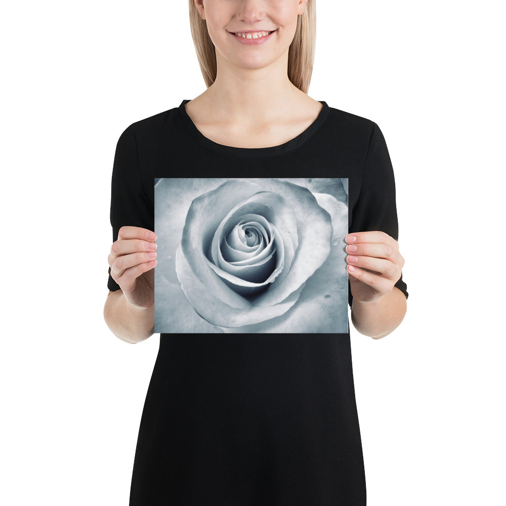Elegant White Rose Macro Photograph Print - Silverish Tint & Gray Shadows - Perfect Gift for Art, Nature, and Photography Lovers