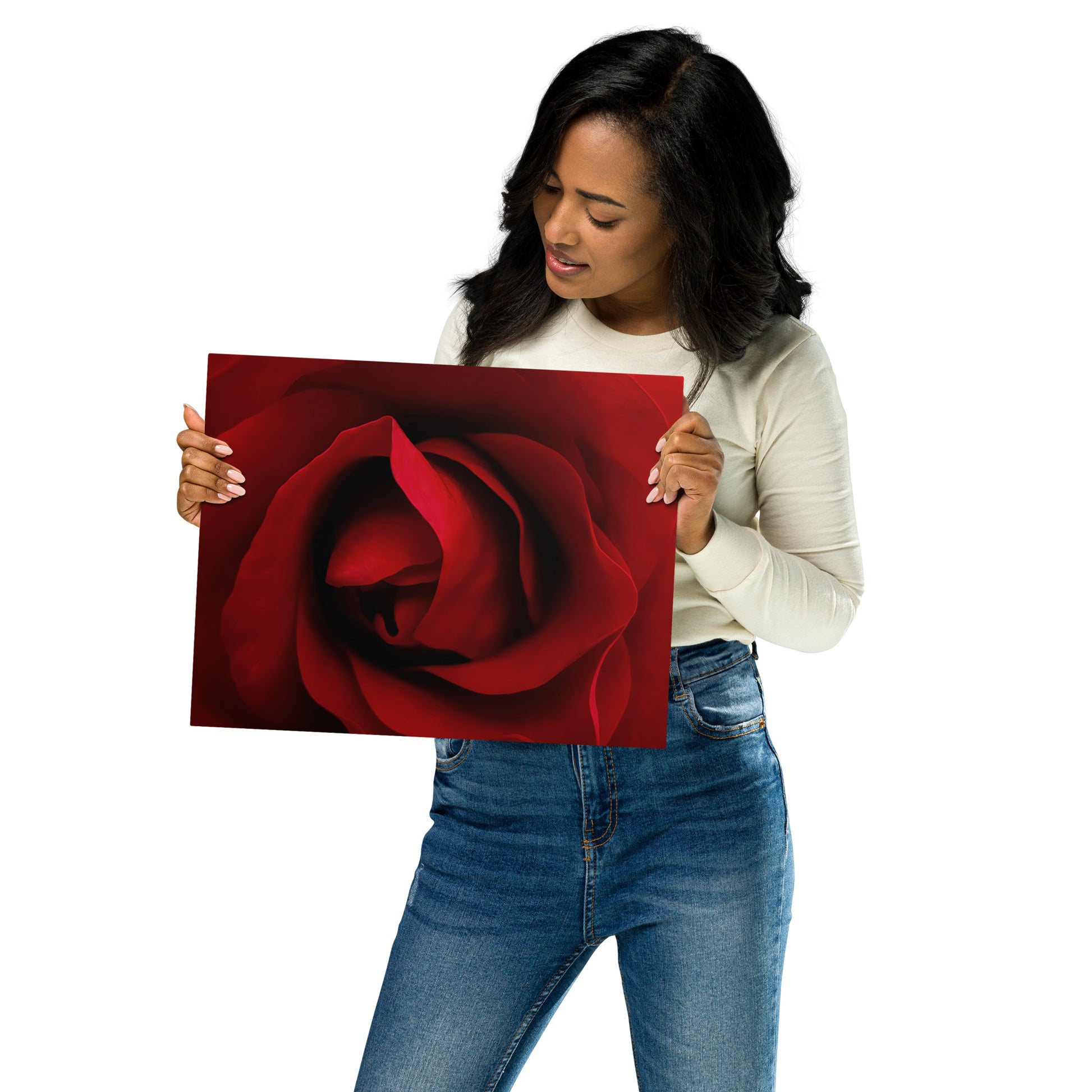 red rose, rose, red, flowers, flower, nature, beauty, love, valentine