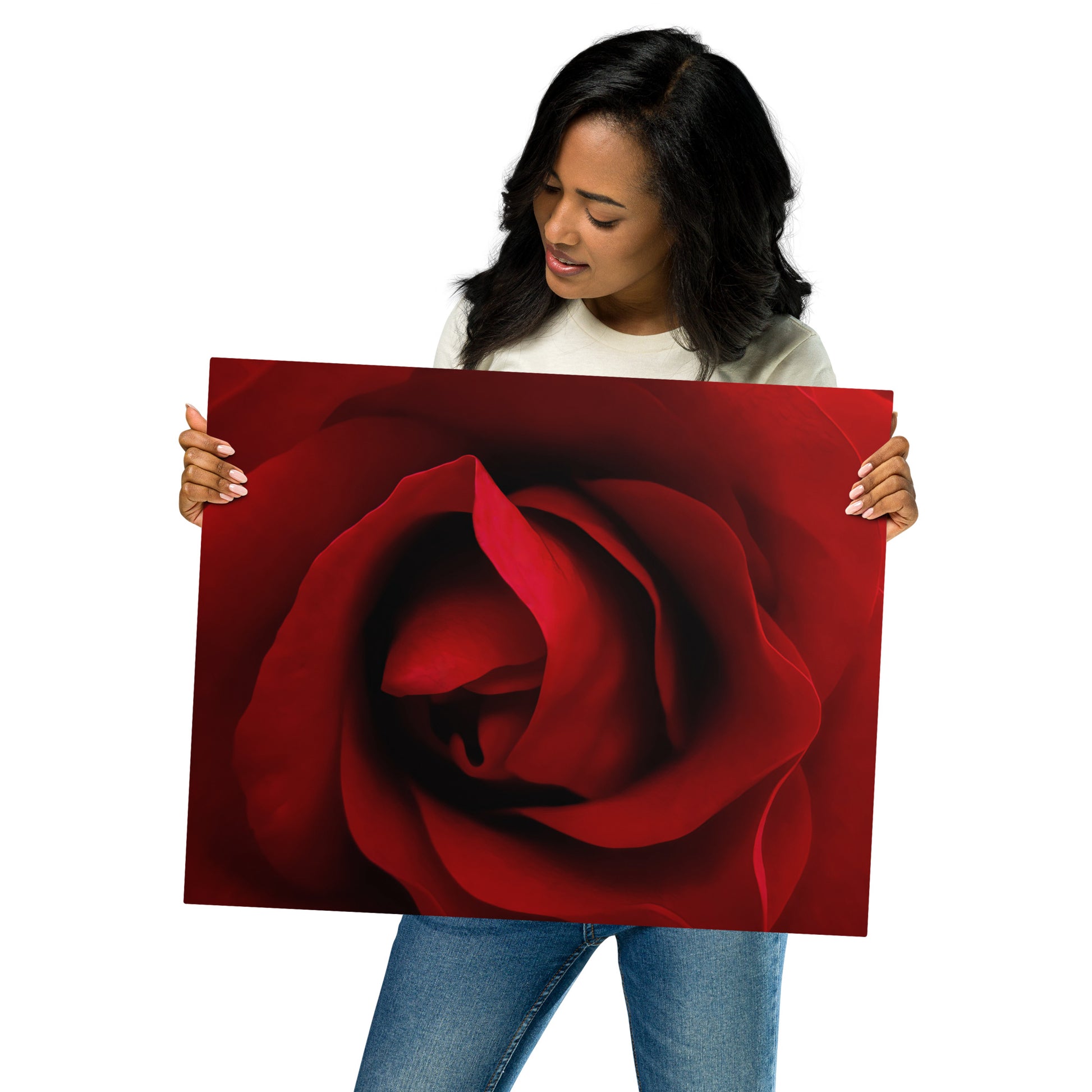 red rose, rose, red, flowers, flower, nature, beauty, love, valentine