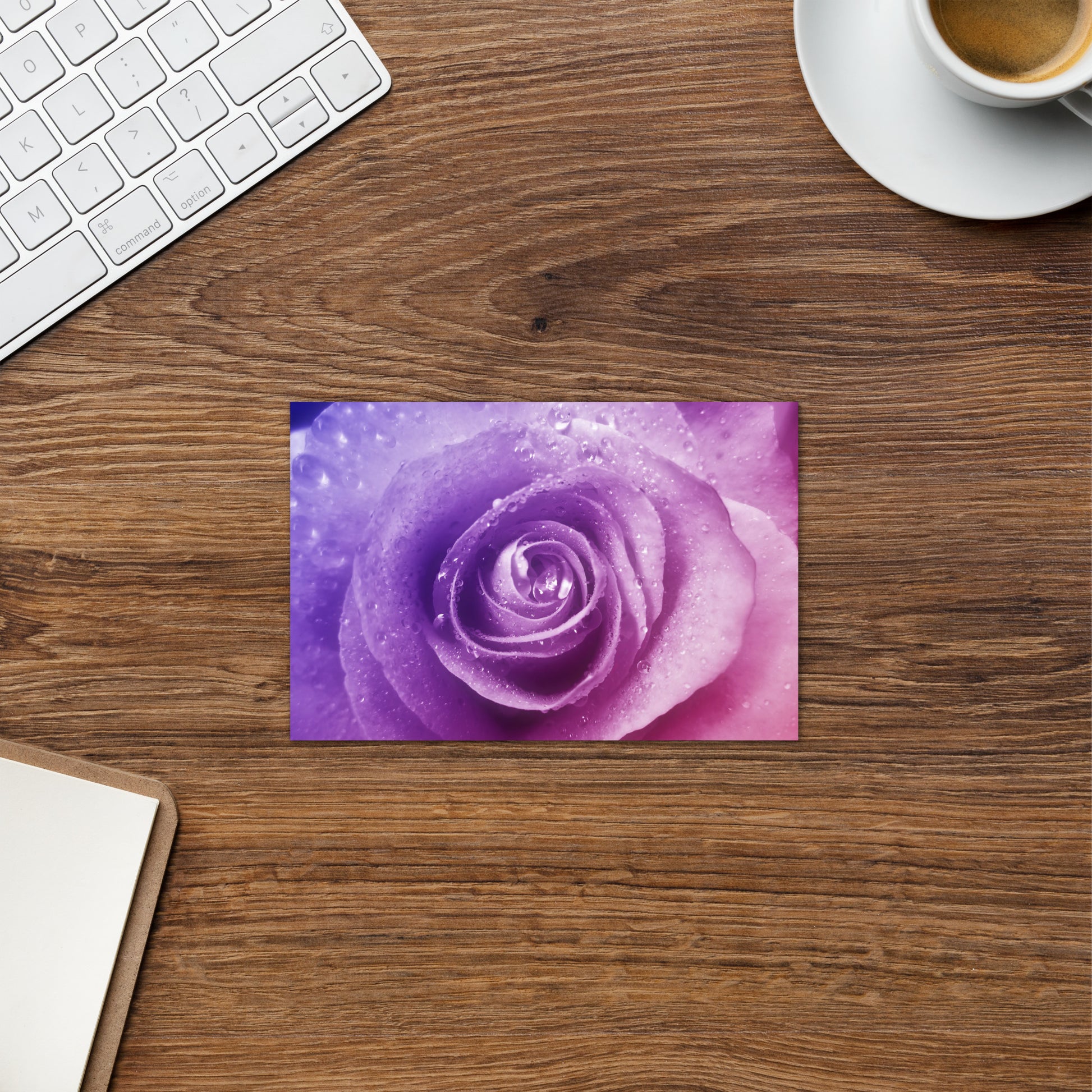 pink, purple, rose, pink rose, cute, valentine