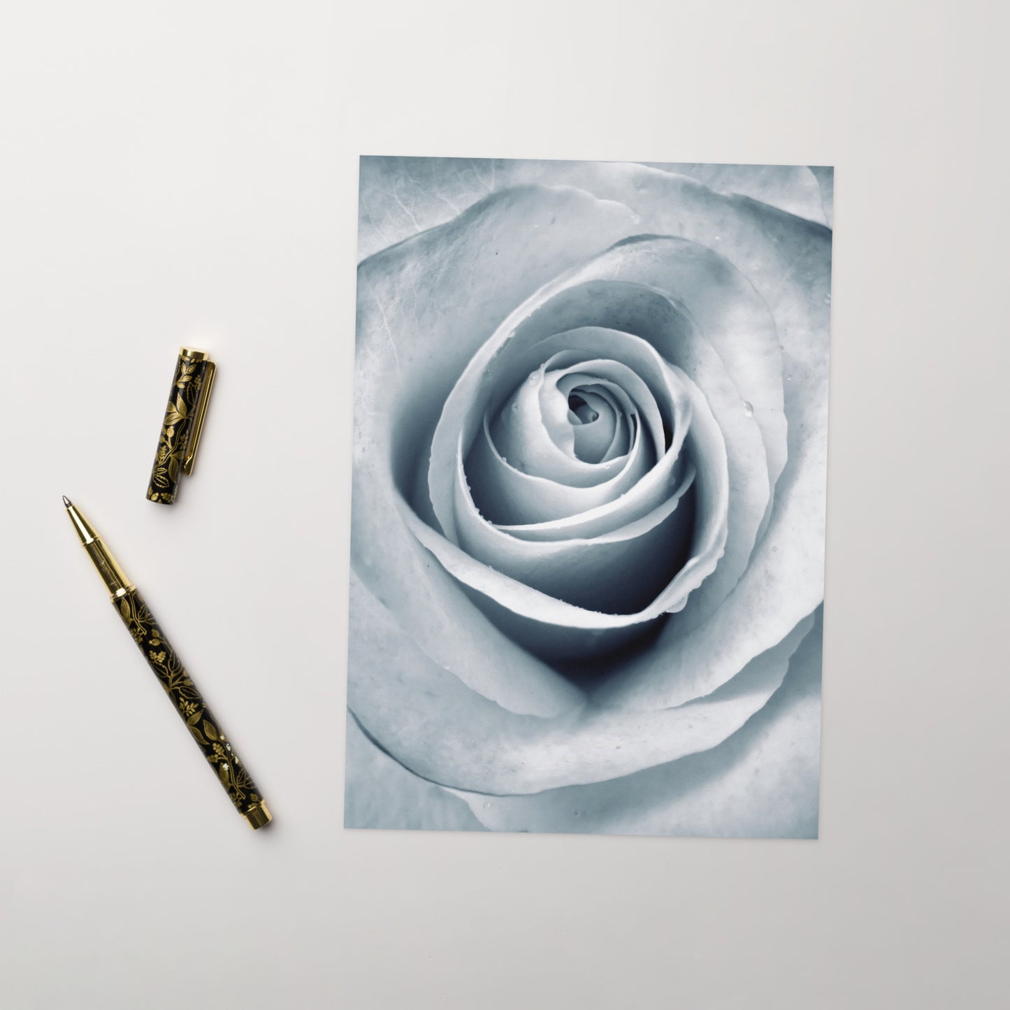 Elegant White Rose Macro Photograph on Fine Art Greeting Card - Perfect Gift for Contemporary Art, Nature, Flower & B&W Photography Lovers
