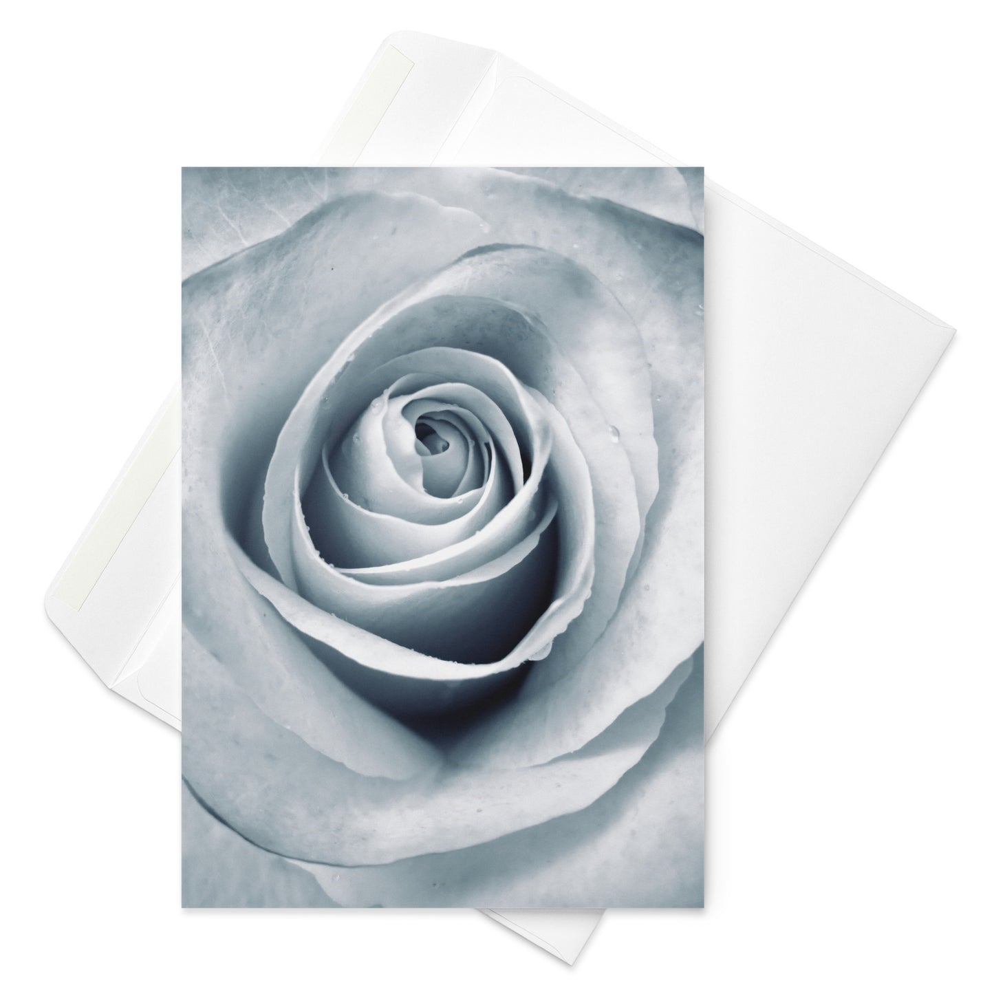 Elegant White Rose Macro Photograph on Fine Art Greeting Card - Perfect Gift for Contemporary Art, Nature, Flower & B&W Photography Lovers