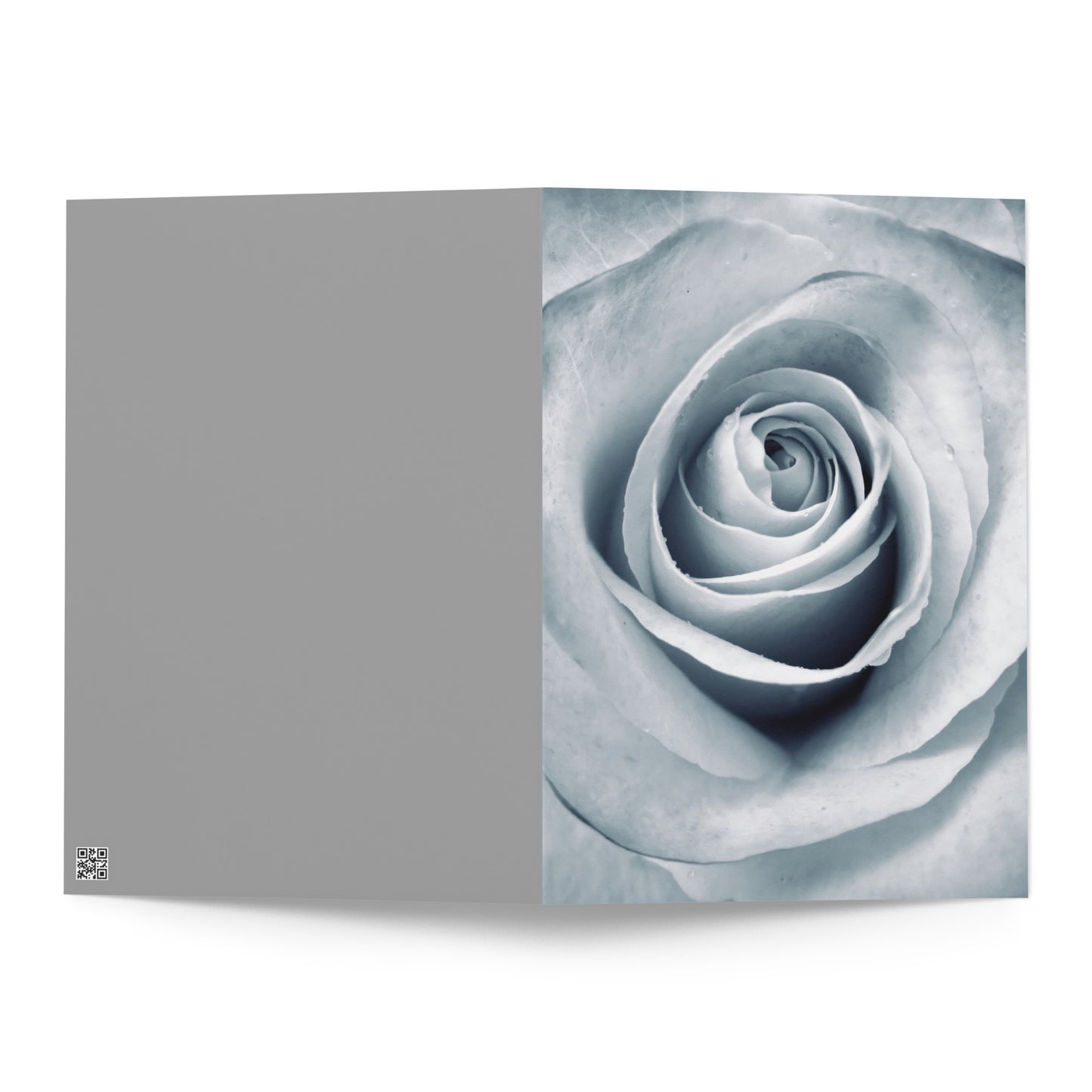 Elegant White Rose Macro Photograph on Fine Art Greeting Card - Perfect Gift for Contemporary Art, Nature, Flower & B&W Photography Lovers