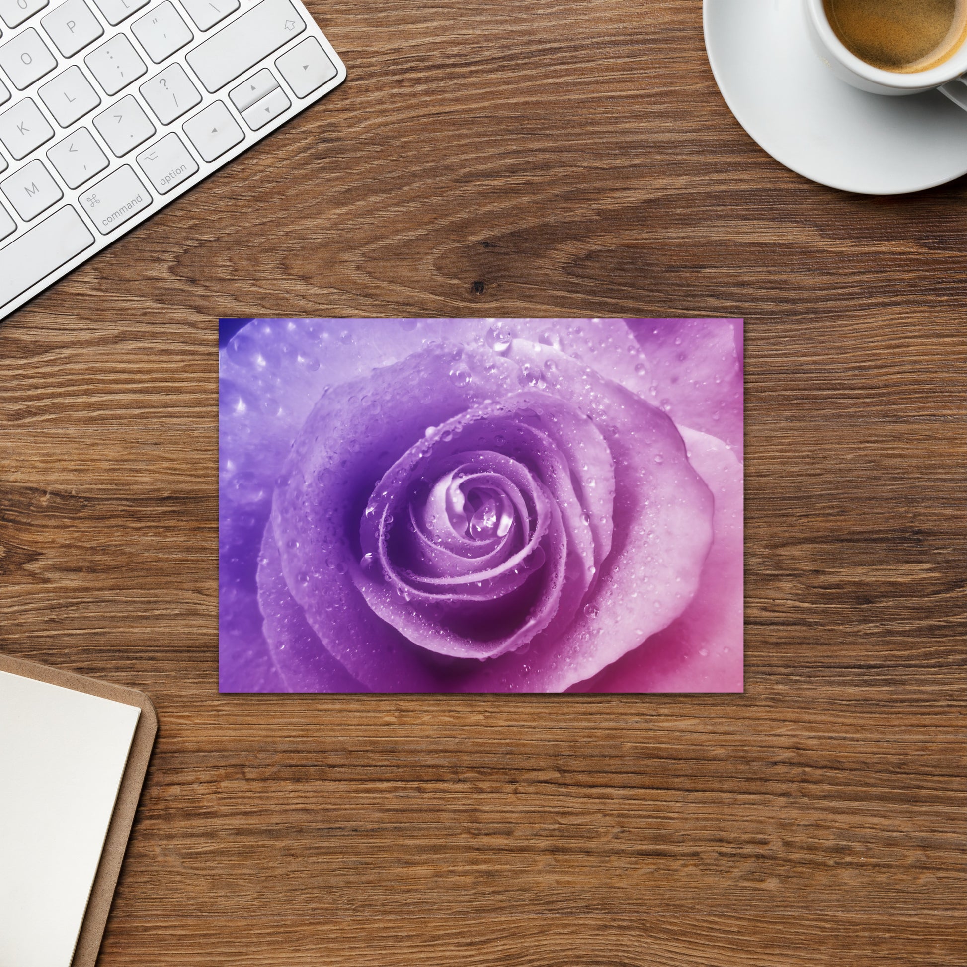 pink, purple, rose, pink rose, cute, valentine