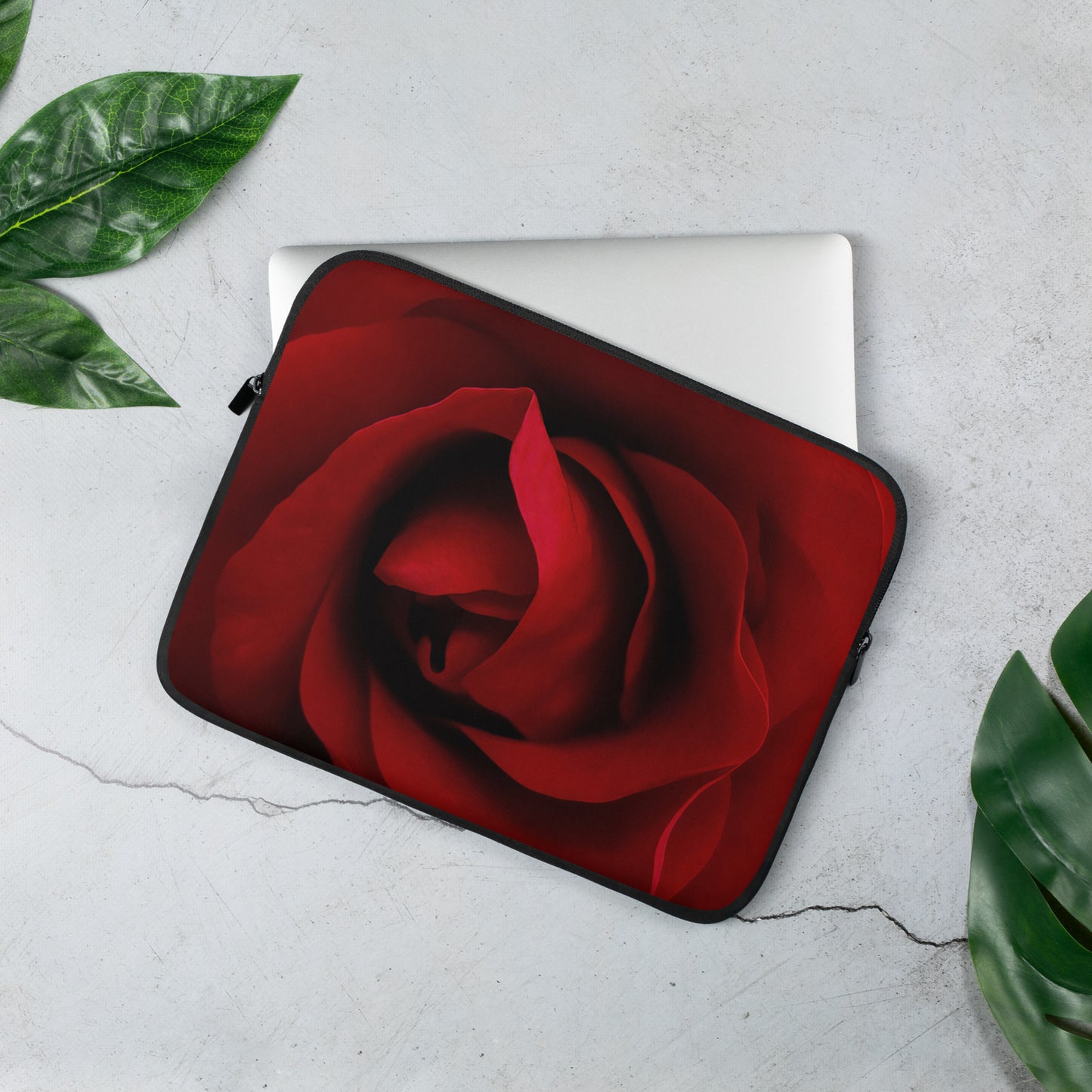 red rose, rose, red, flowers, flower, nature, beauty, love, valentine