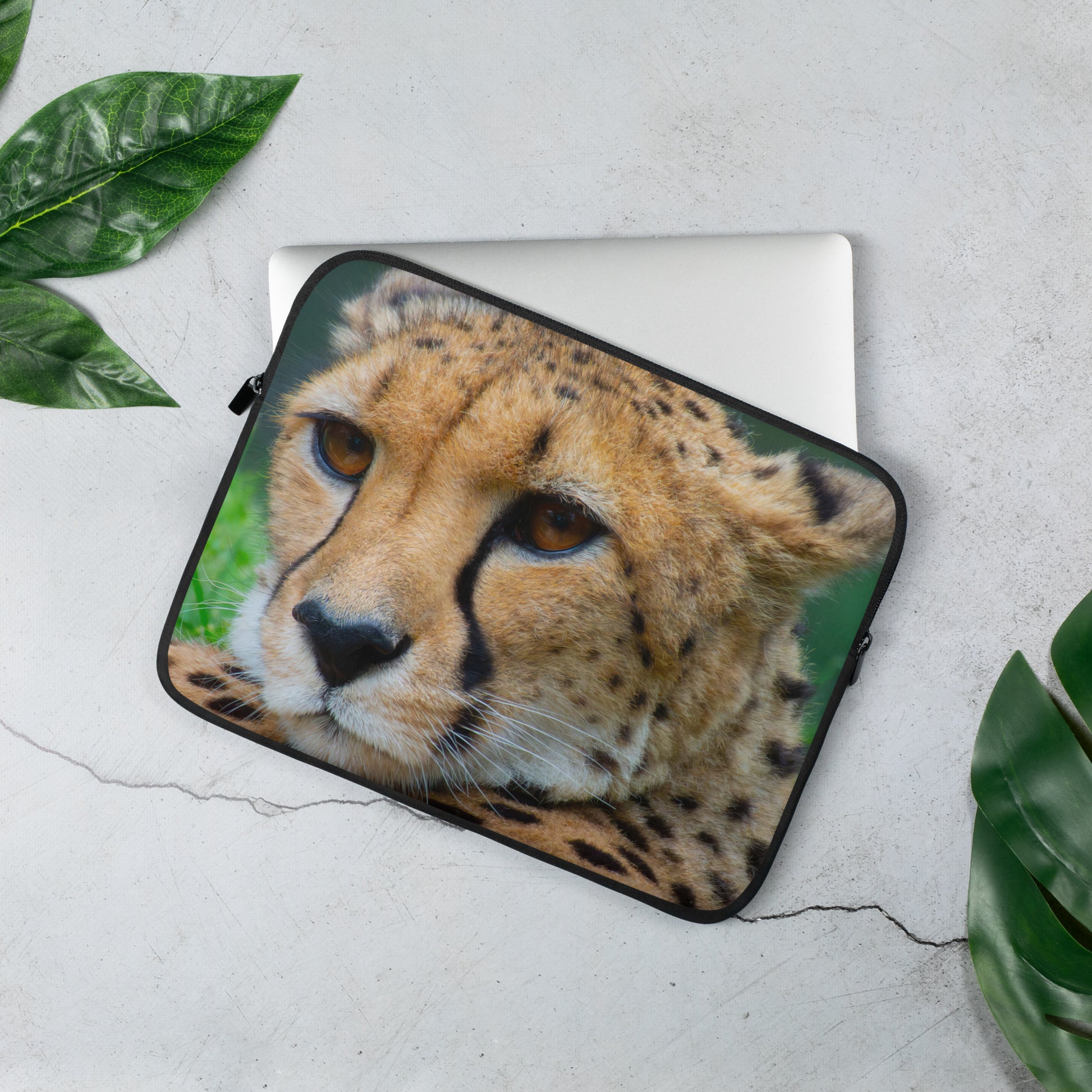 cheetah, nature, cats, animals, feline, africa
