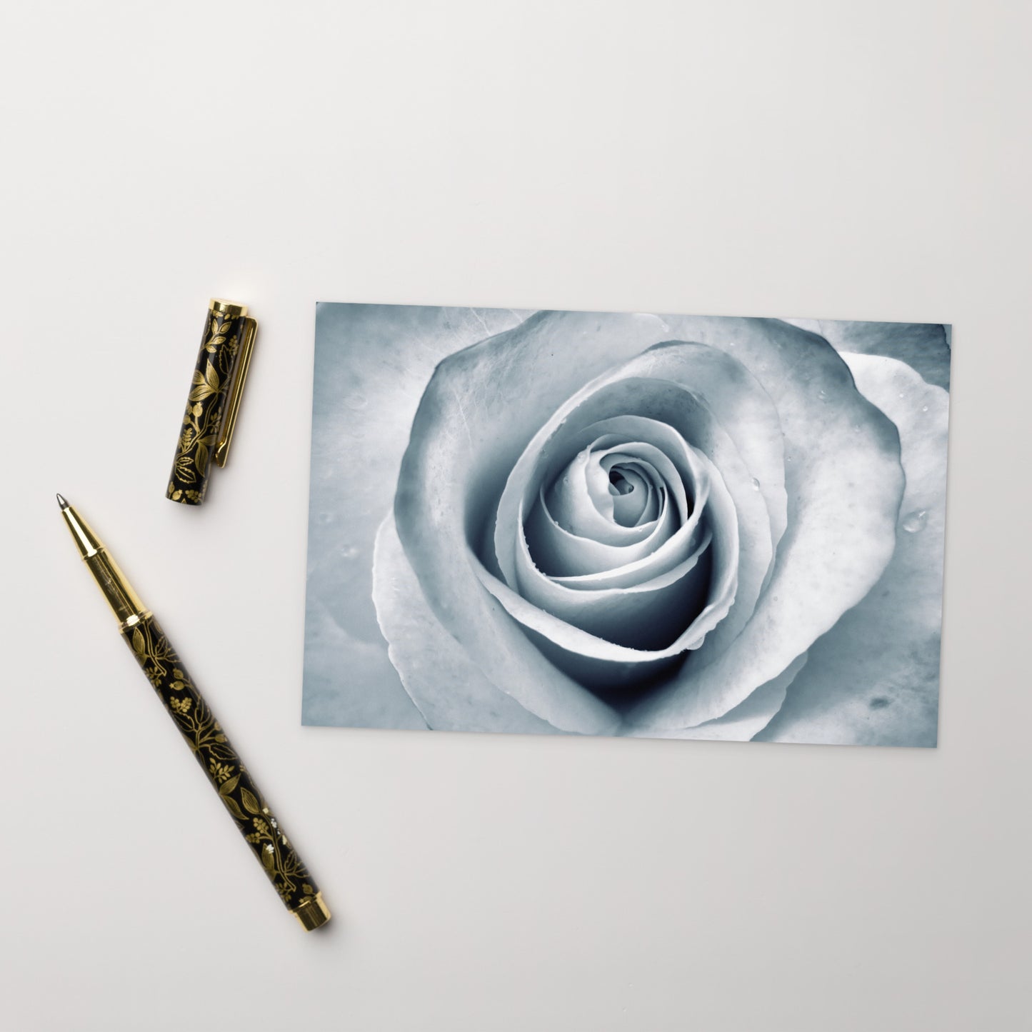 Elegant White Rose Macro Photograph On Fine Art Standard Postcard - Perfect Gift For Contemporary Art, Nature, Flower & B&W Photography Lovers